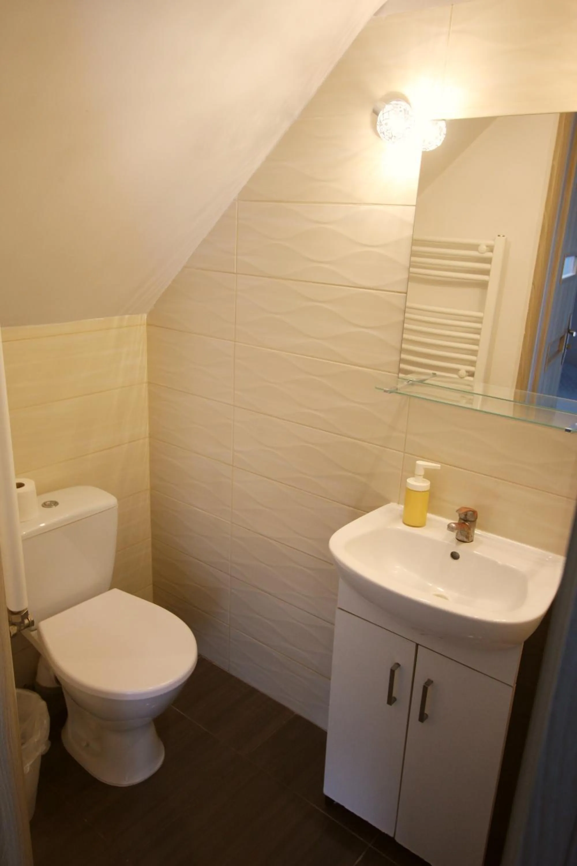 Toilet in Pokoje Nadrzeczna 45