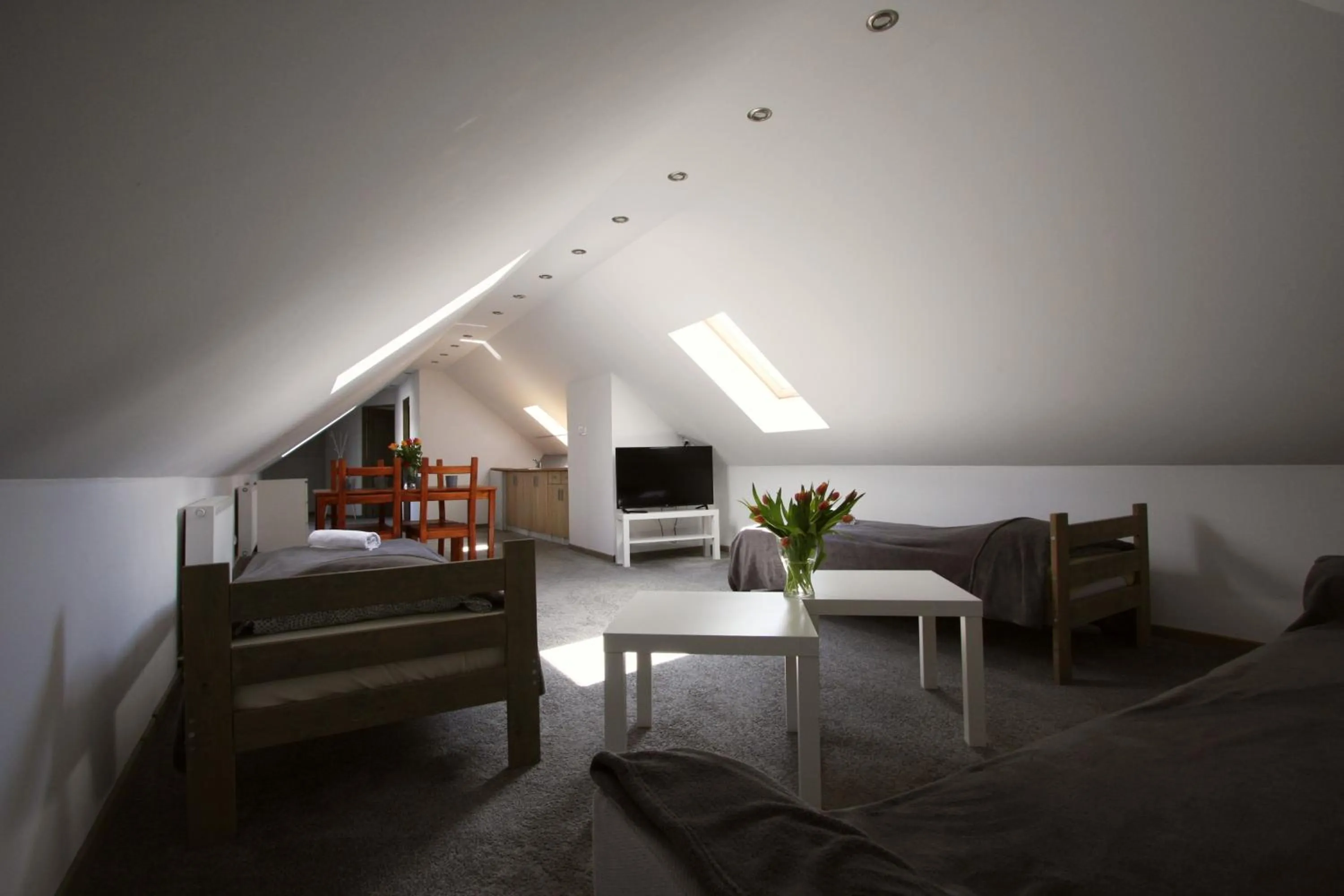 TV and multimedia in Pokoje Nadrzeczna 45