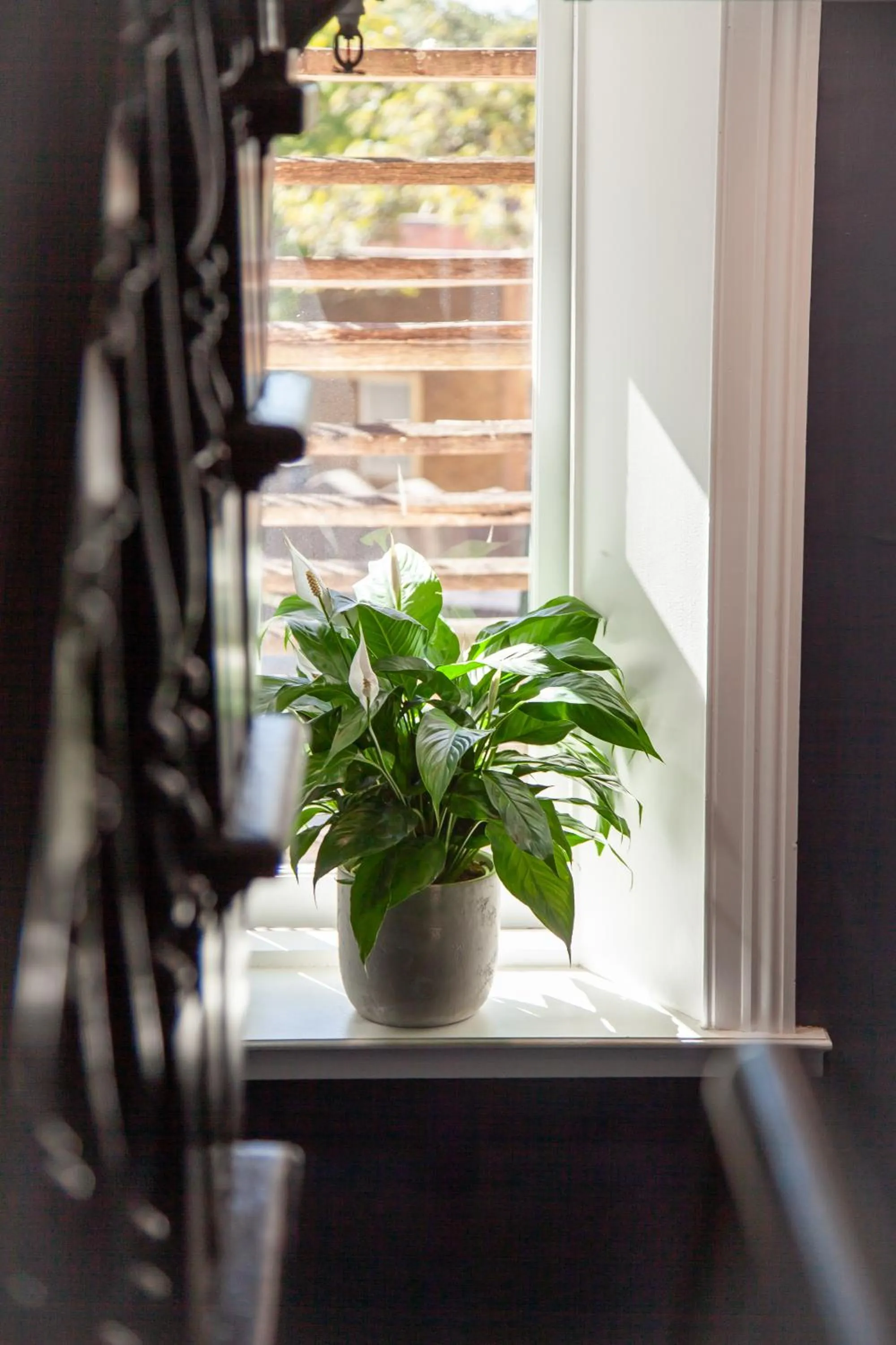 Bayswater Boutique Lodge