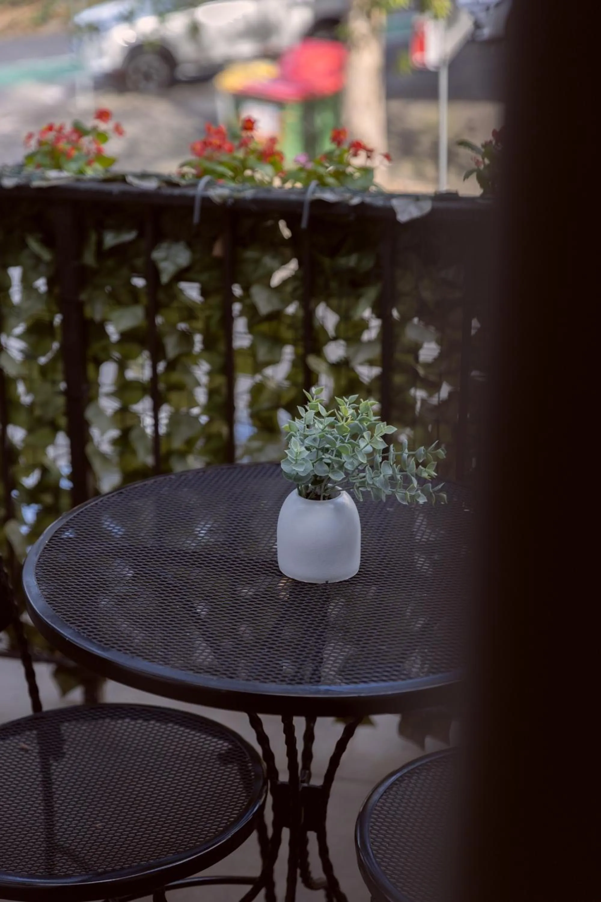 Bayswater Boutique Lodge