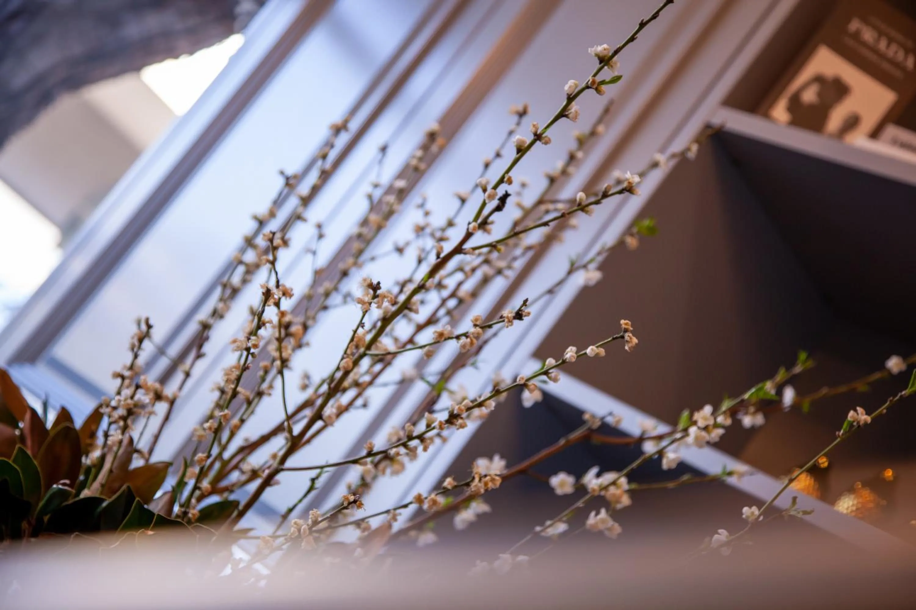 Bayswater Boutique Lodge