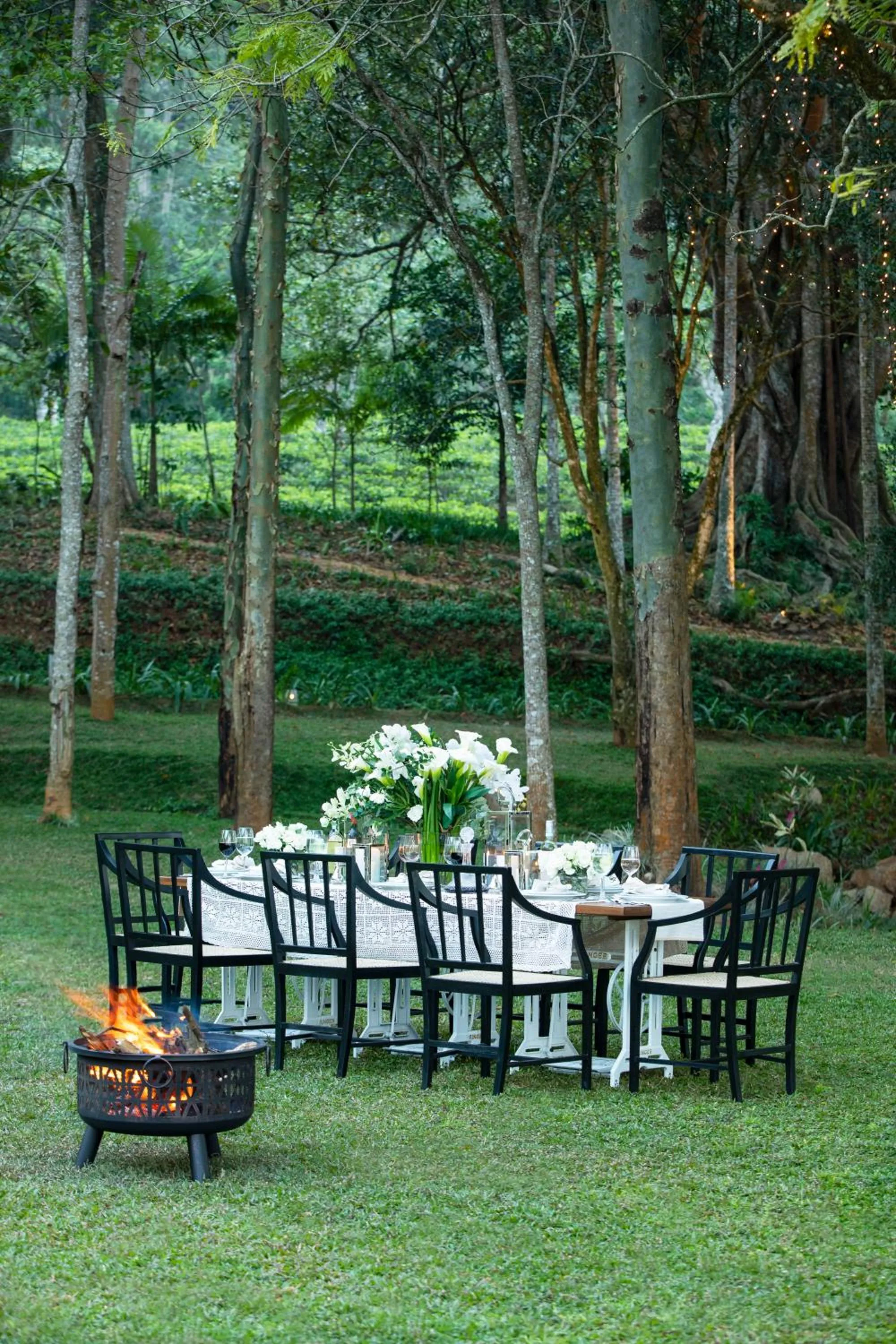 Restaurant/places to eat in W15 Hanthana Estate Kandy