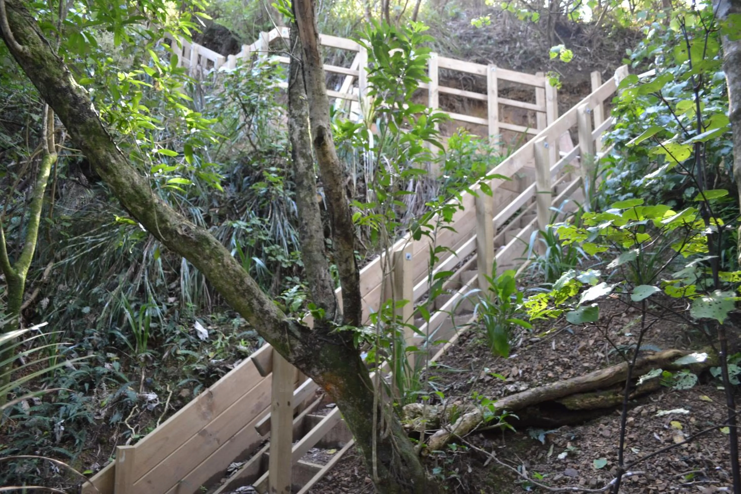 Natural landscape in Te Mata Lodge