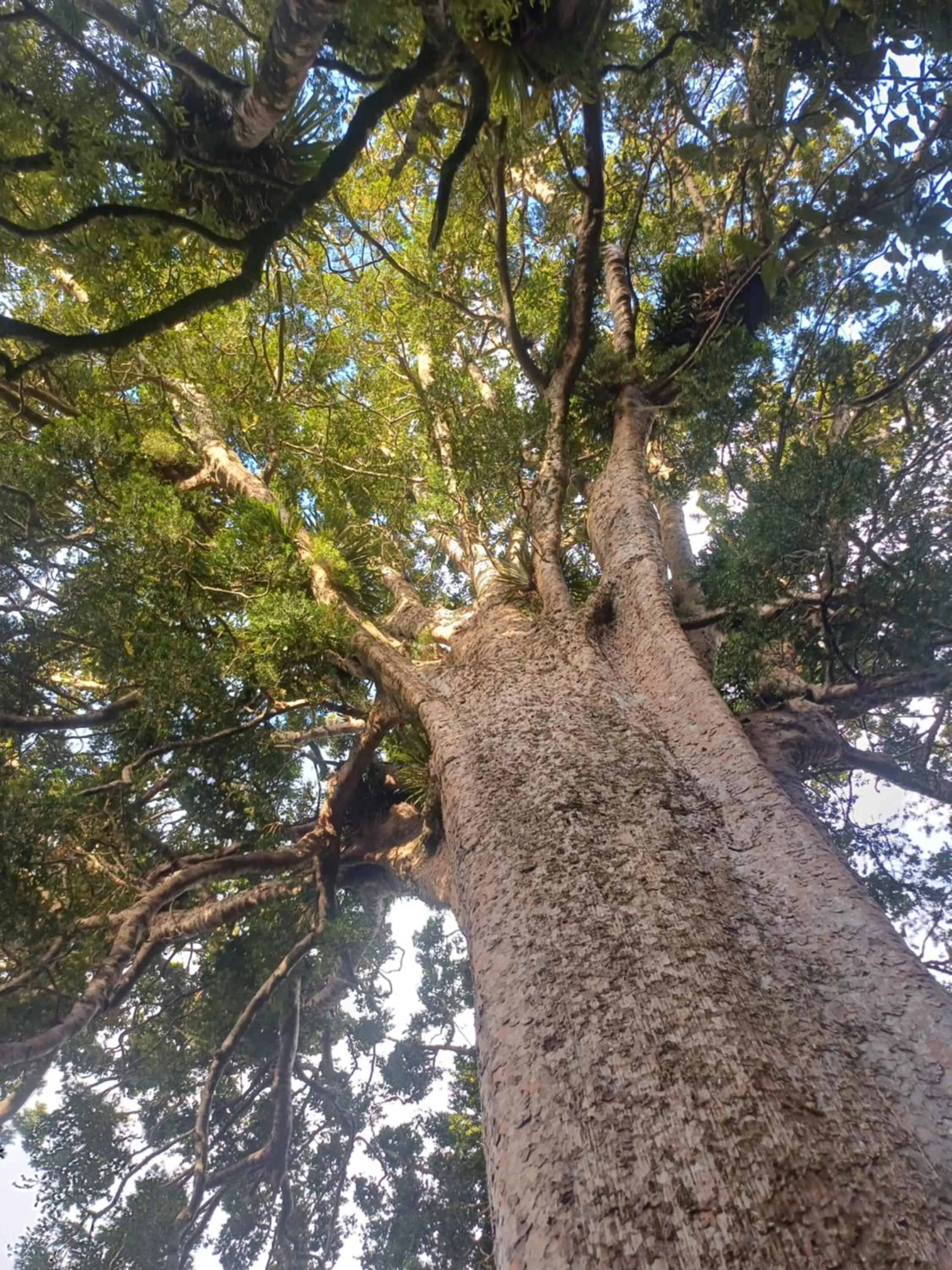 Natural landscape in Te Mata Lodge