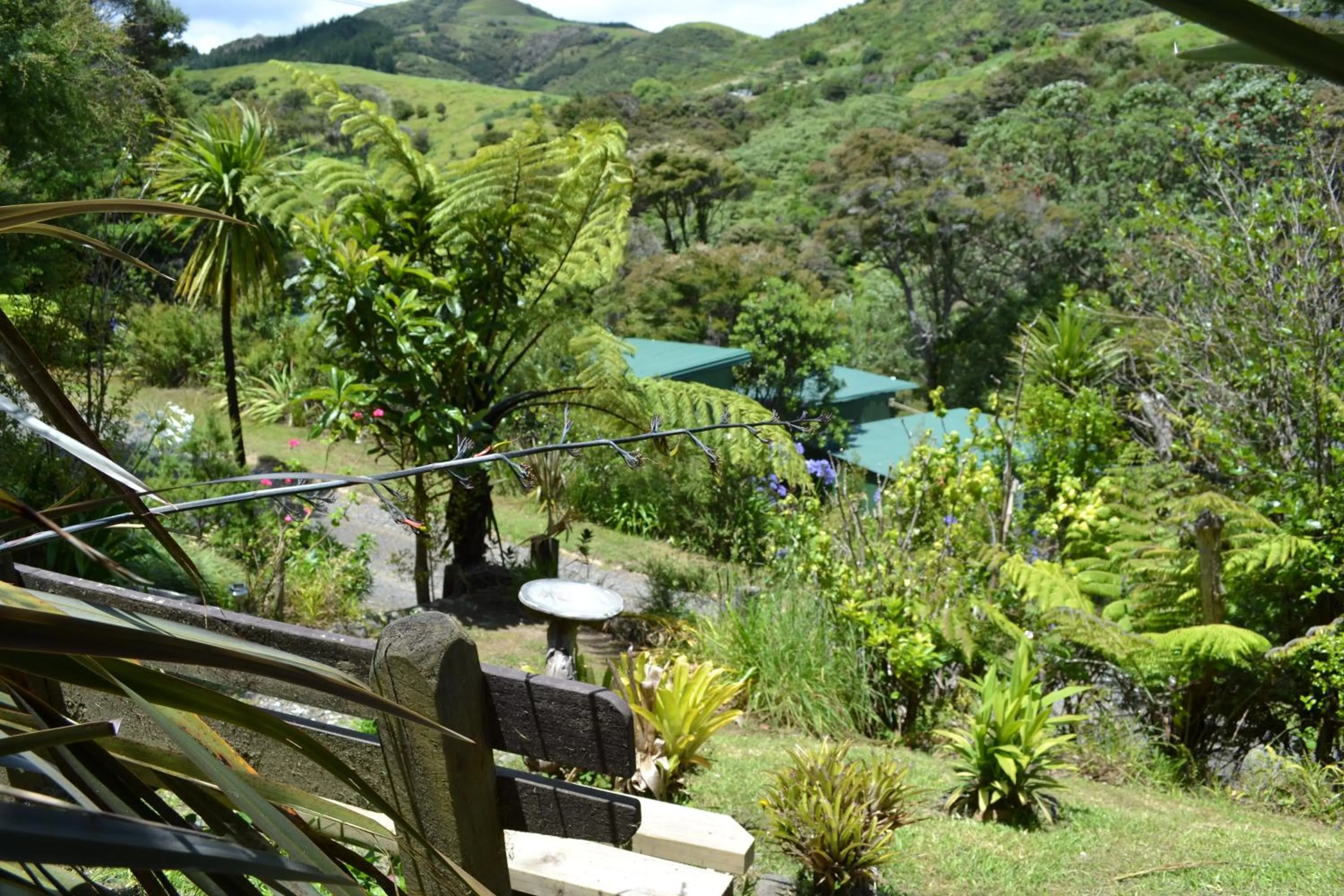 Garden in Te Mata Lodge