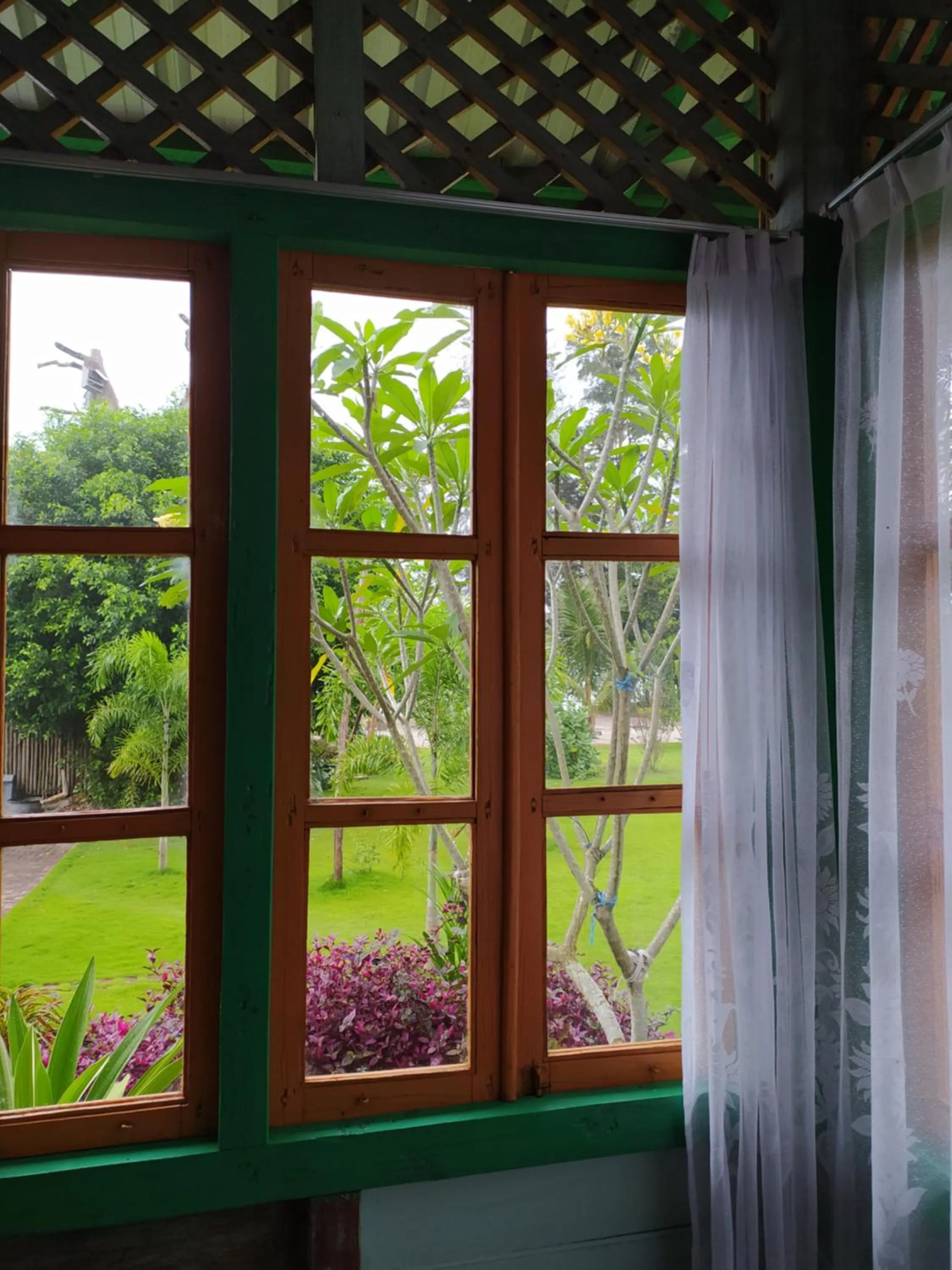 Rock and Wreck Dive Resort