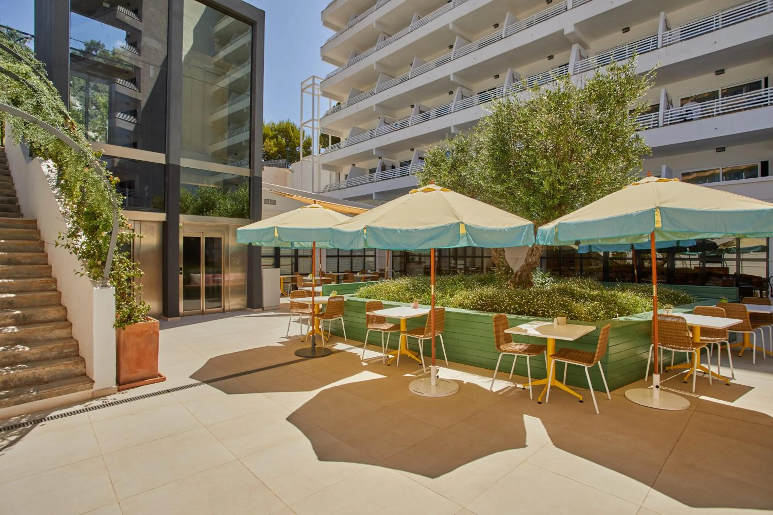 Restaurant/places to eat in Alua Calvia Mallorca