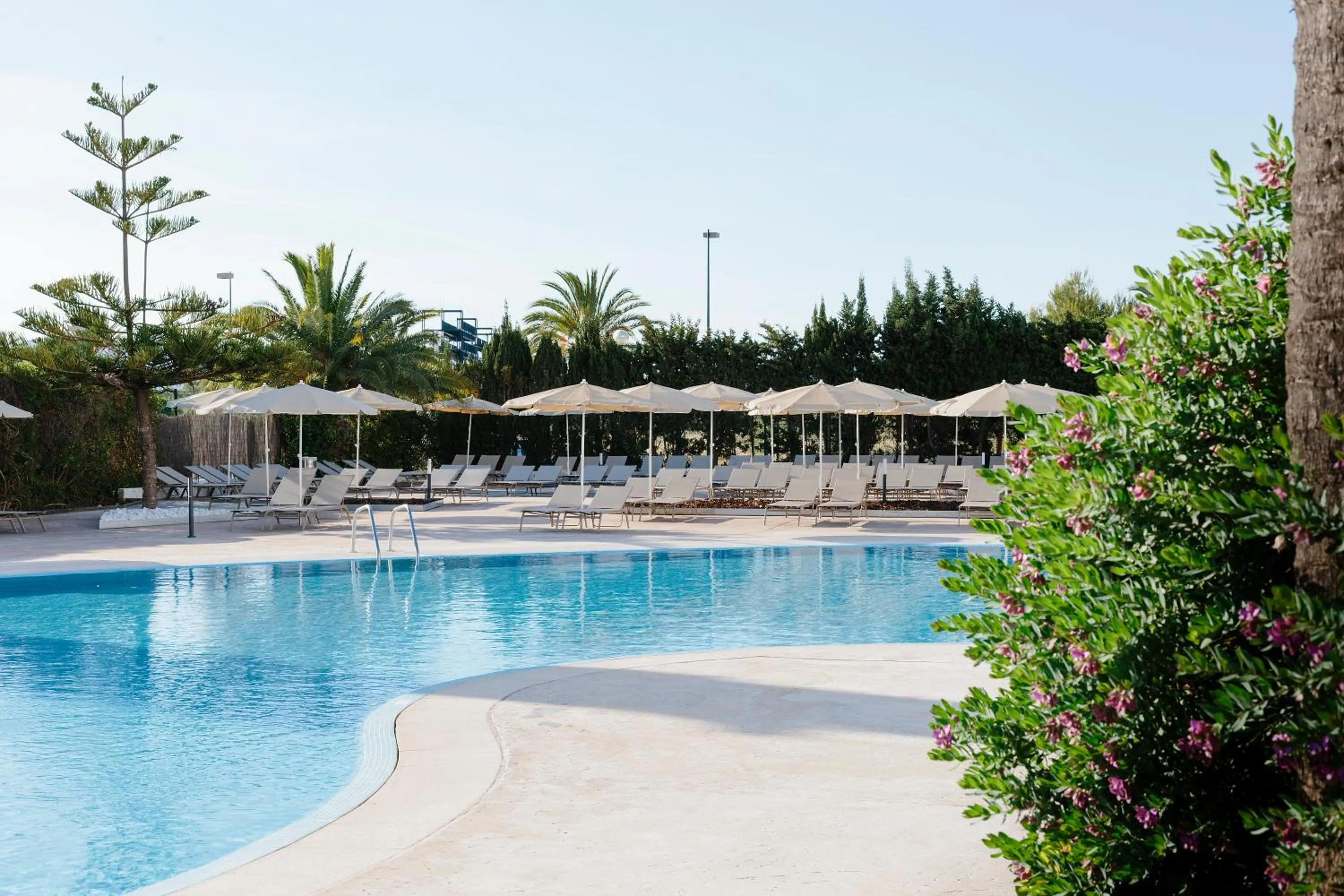Pool view in Bordoy Alcudia Bay - Adults Only