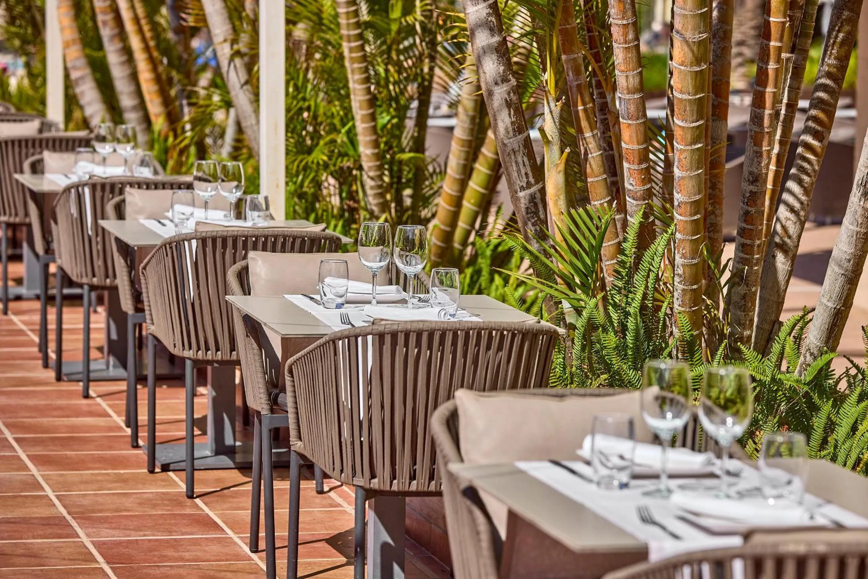 Restaurant/places to eat in Zafiro Rey Don Jaime