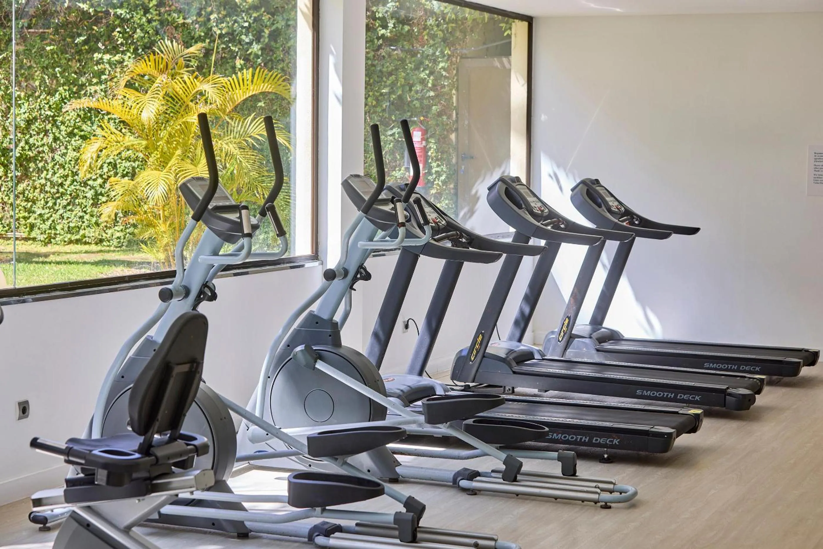 Activities in Zafiro Rey Don Jaime