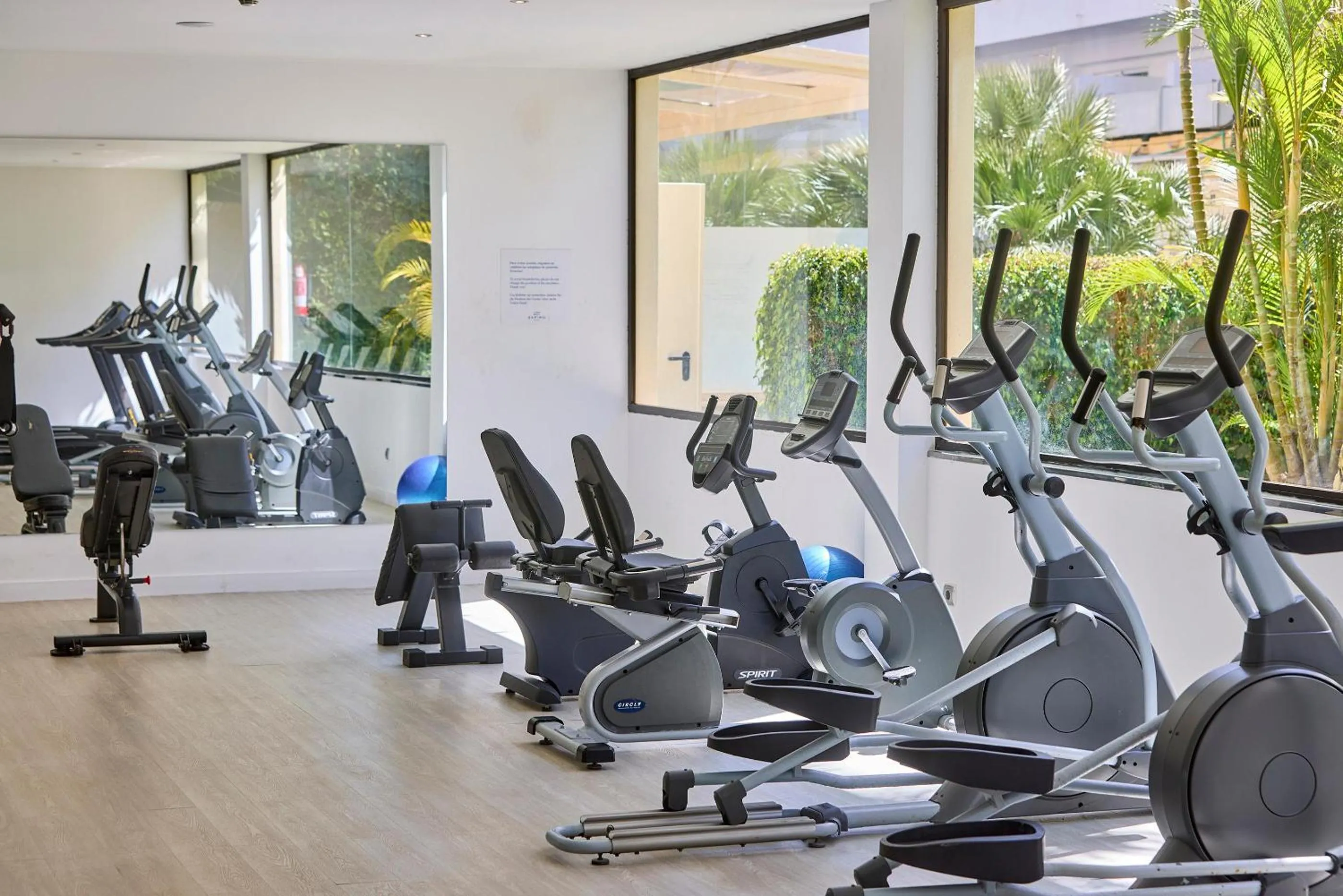 Activities in Zafiro Rey Don Jaime