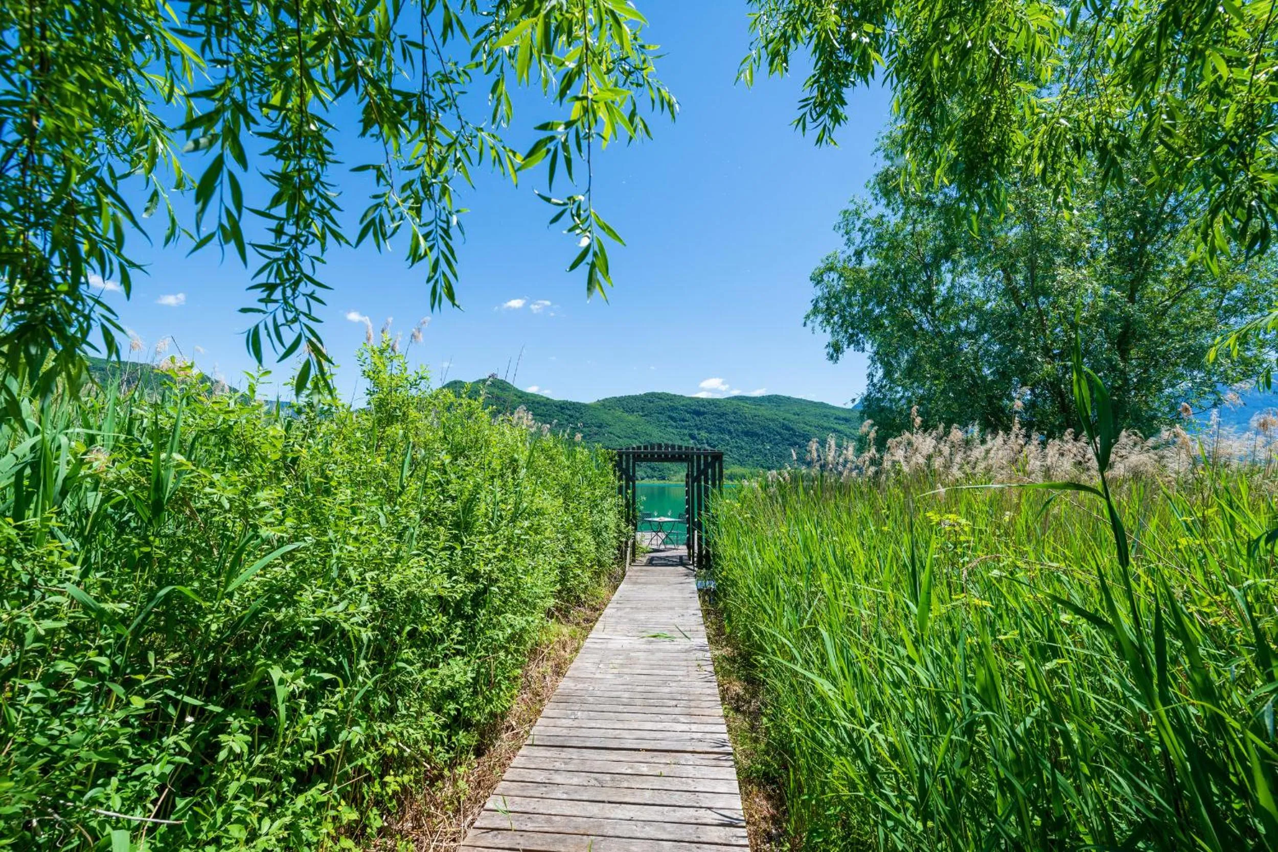 Natural landscape in Überbacherhof