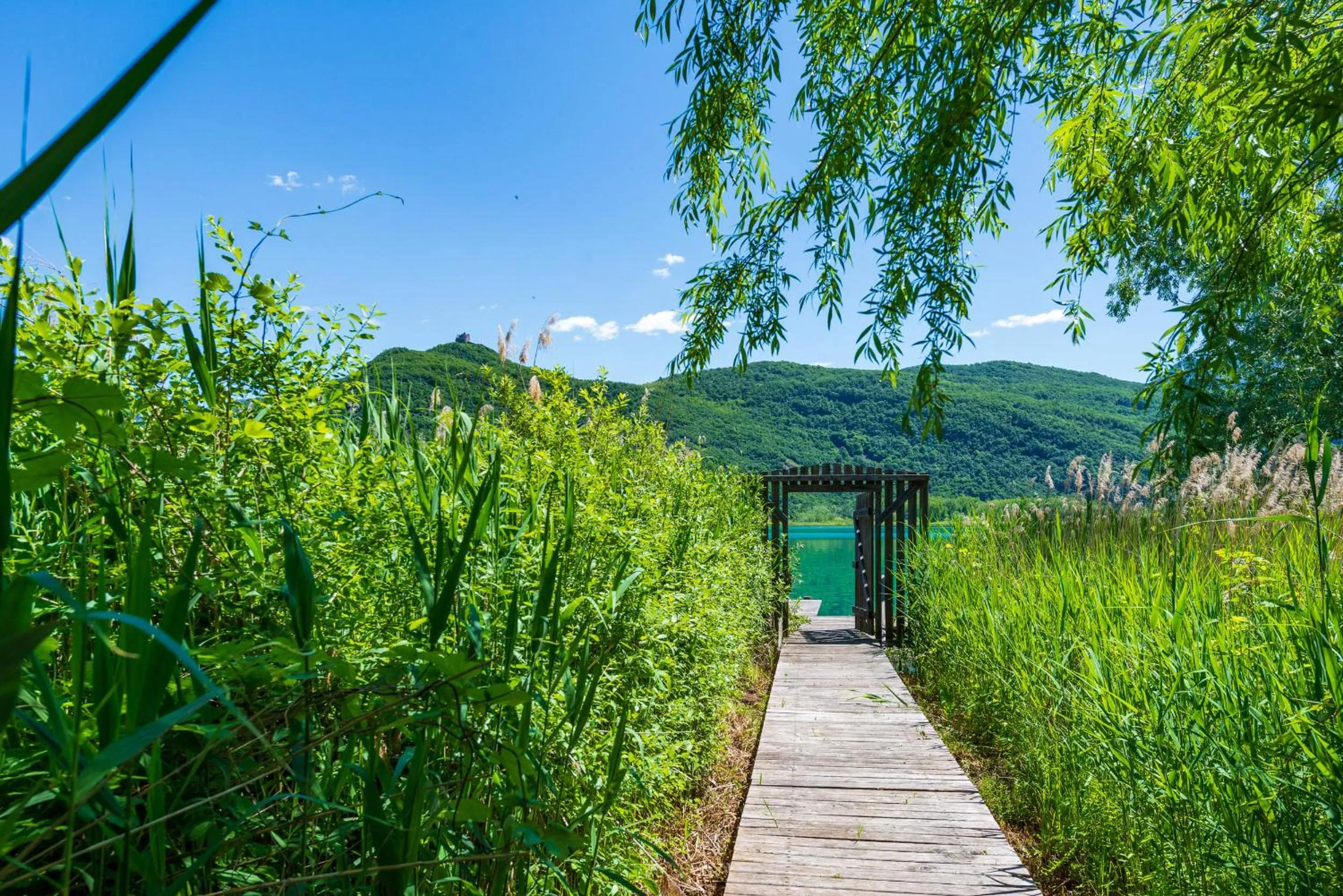 Beach in Überbacherhof