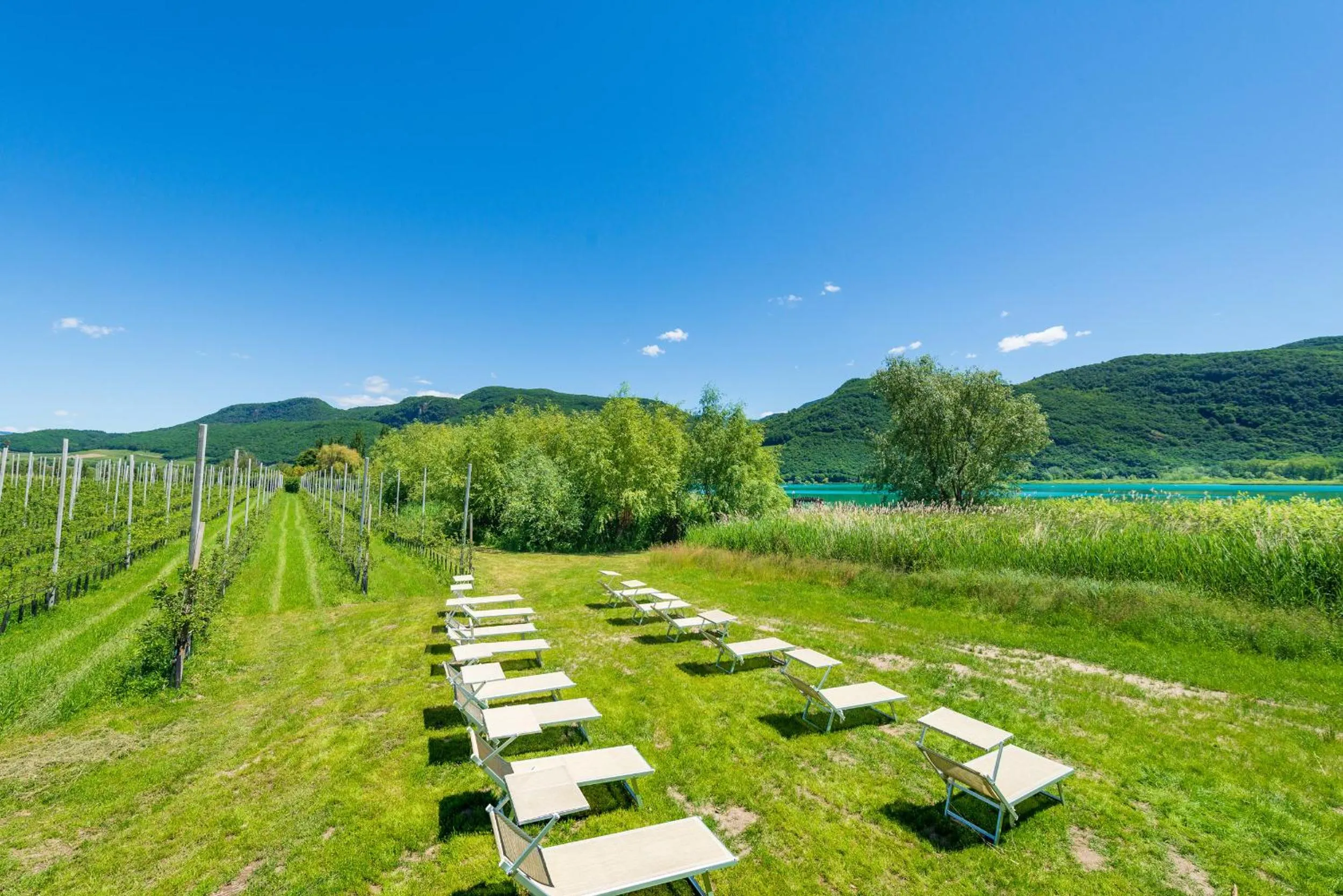 Natural landscape in Überbacherhof