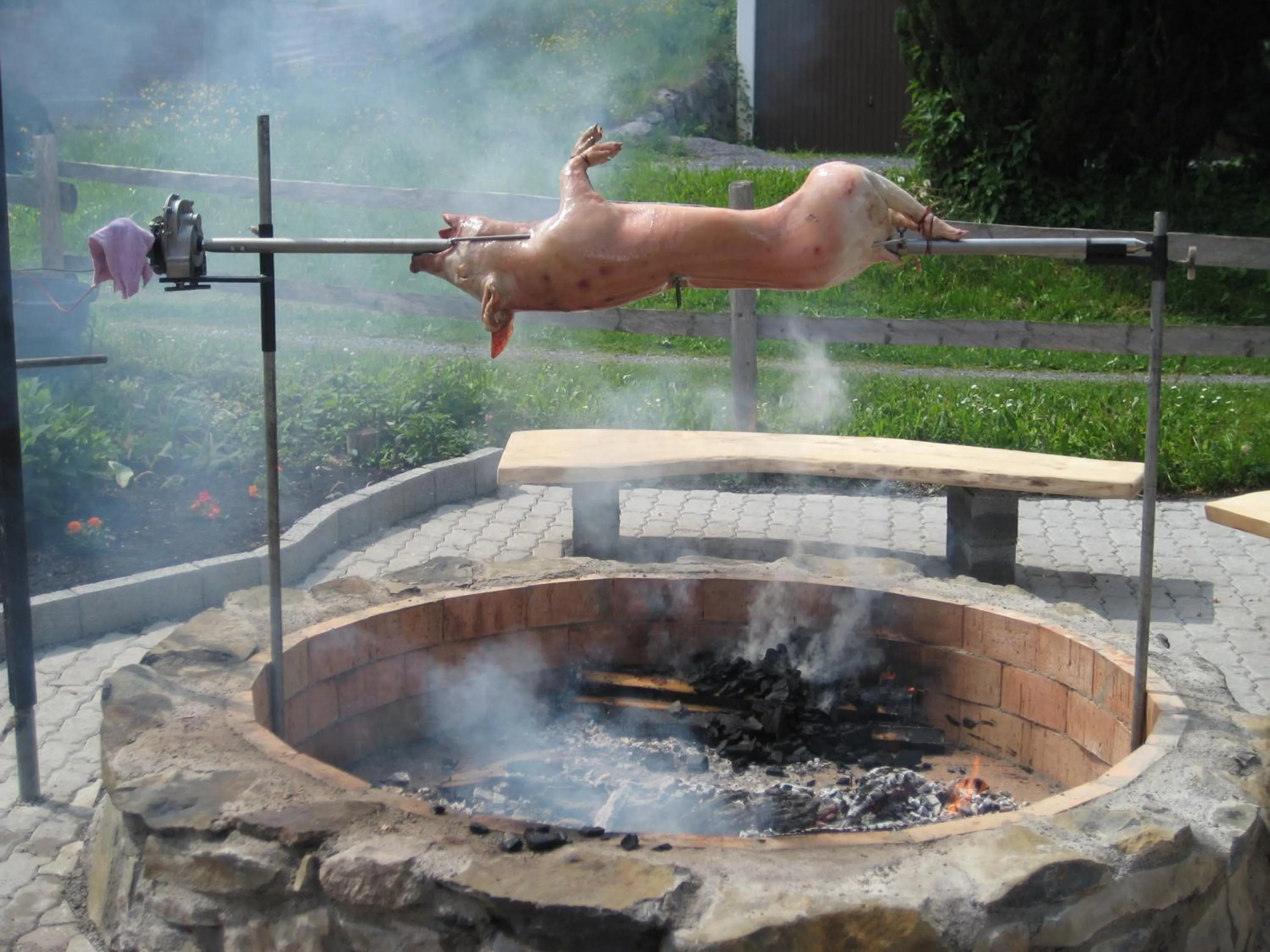 Other Animals in Hotel Restaurant Sternen