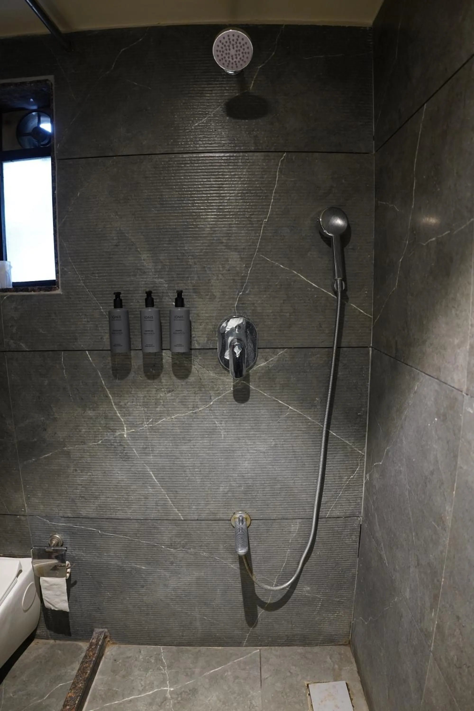 Shower in Hotel Sadanand Regency - Newly Renovated