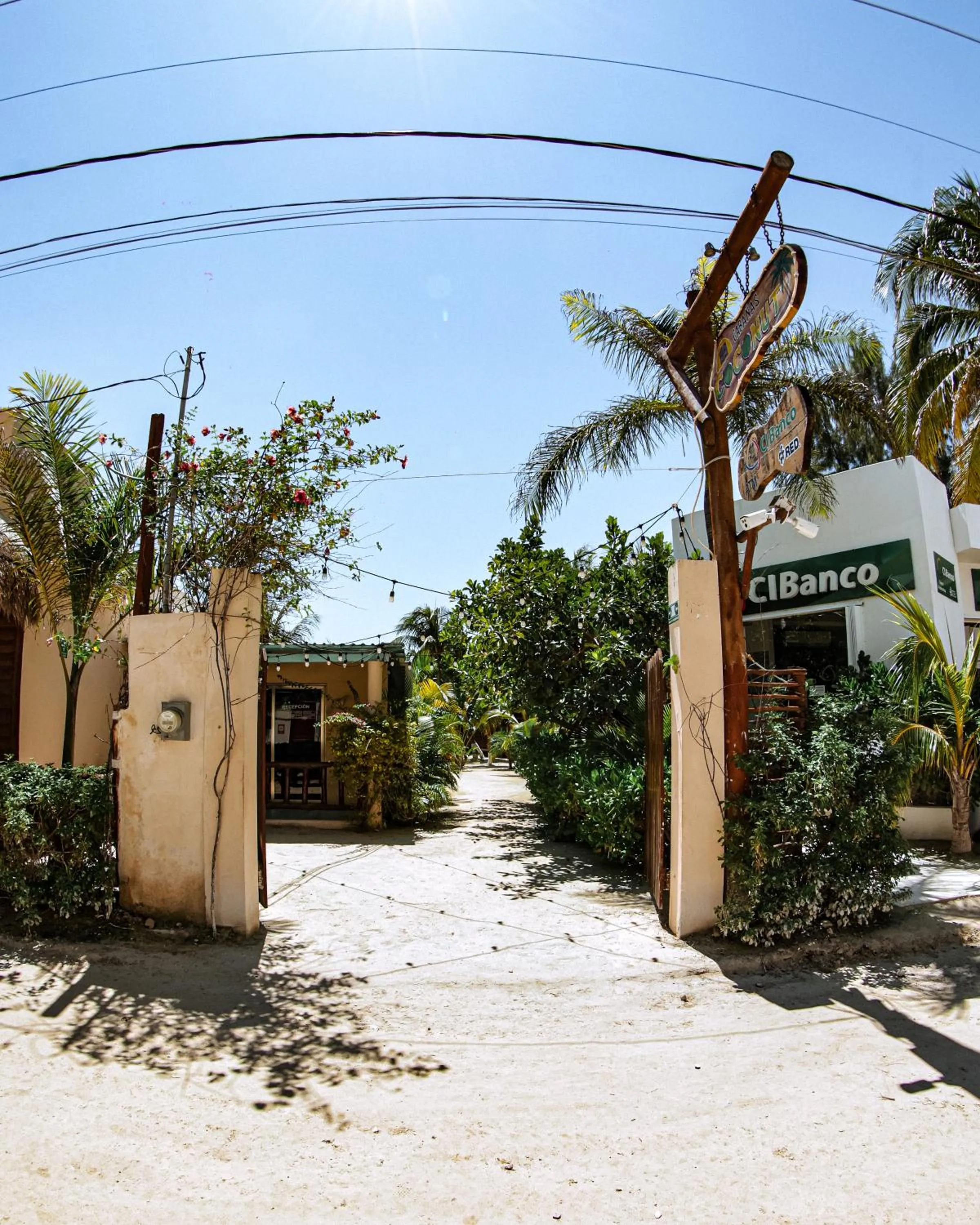 Facade/entrance in Coconut by ÓOL Hotels