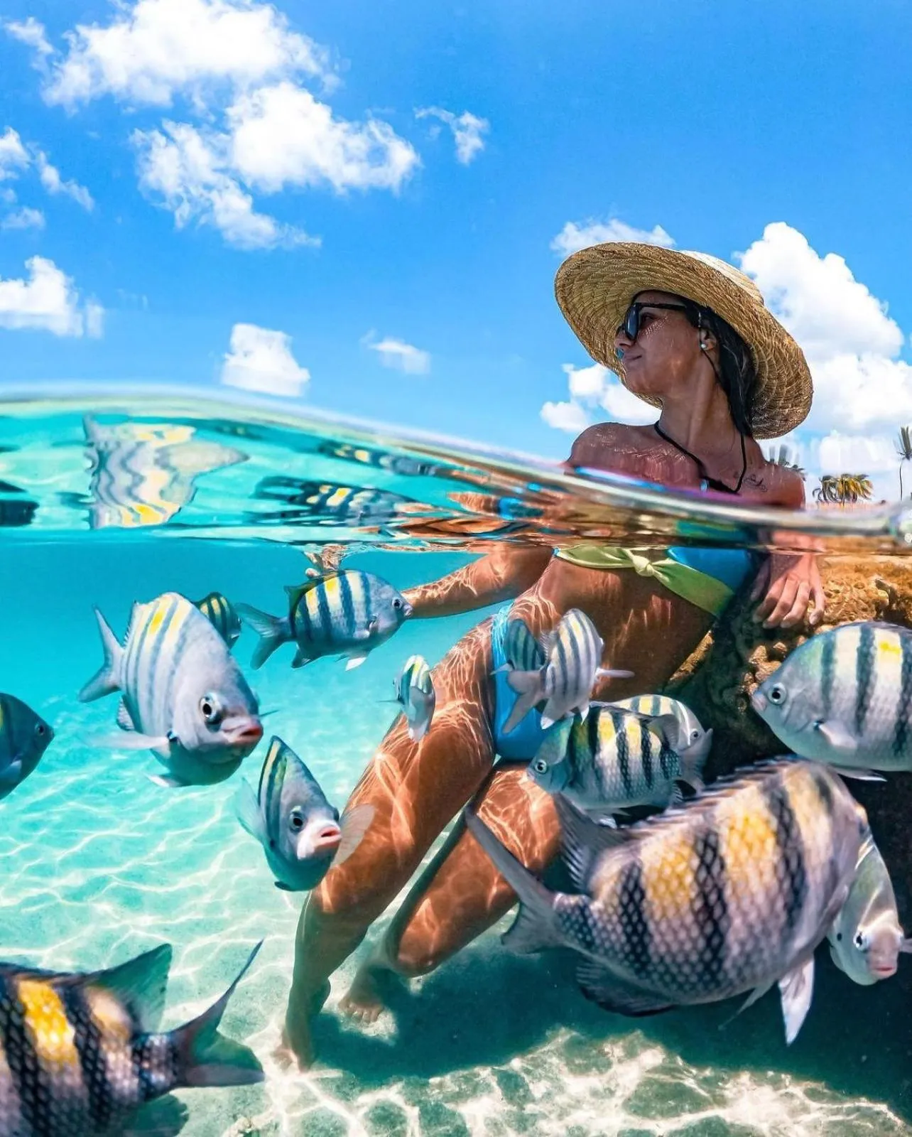 Diving in Pousada Flor de Maraca