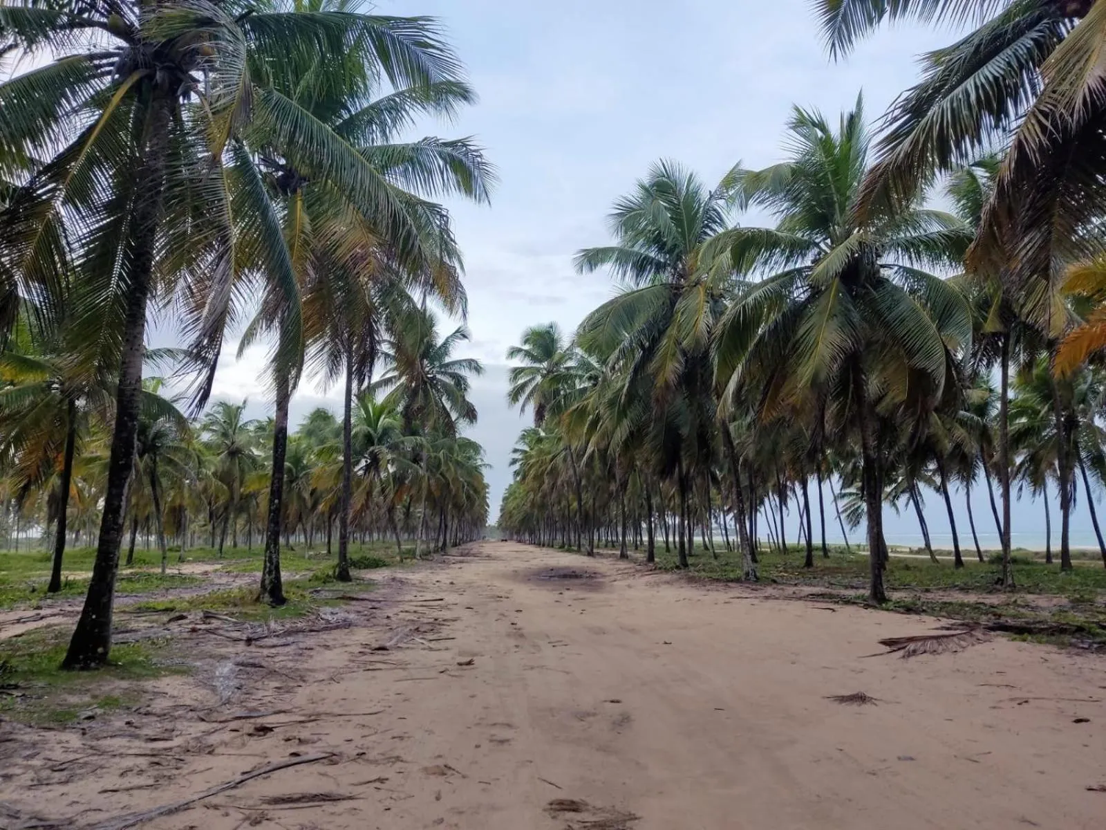 Natural landscape in Pousada Flor de Maraca
