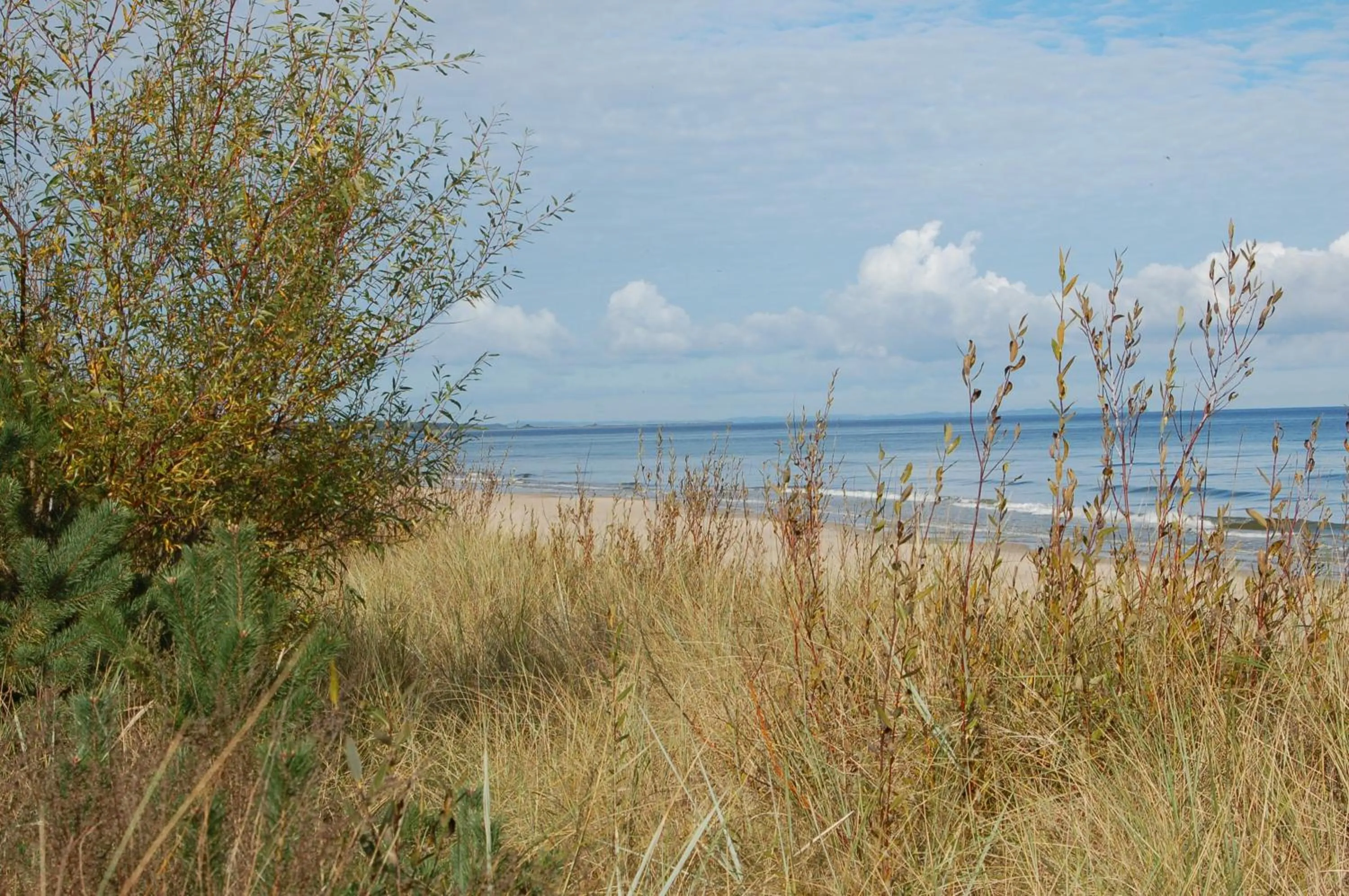 Beach in Ferienhotel Bernstein
