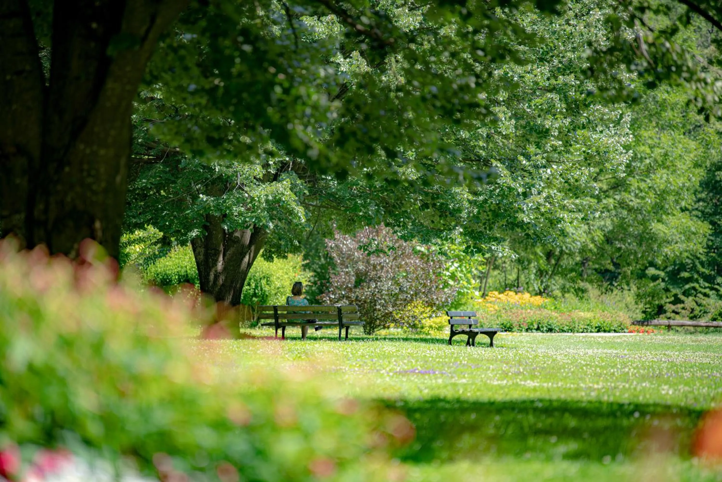 Activities in RESIDENCE Rive Droite