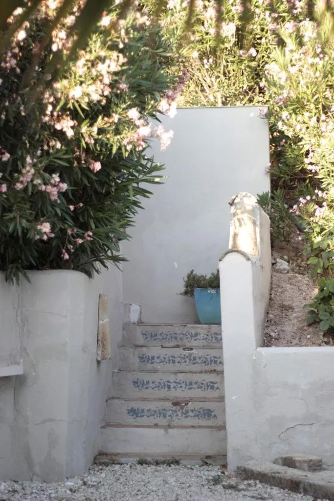 People in Casa Pura Vida