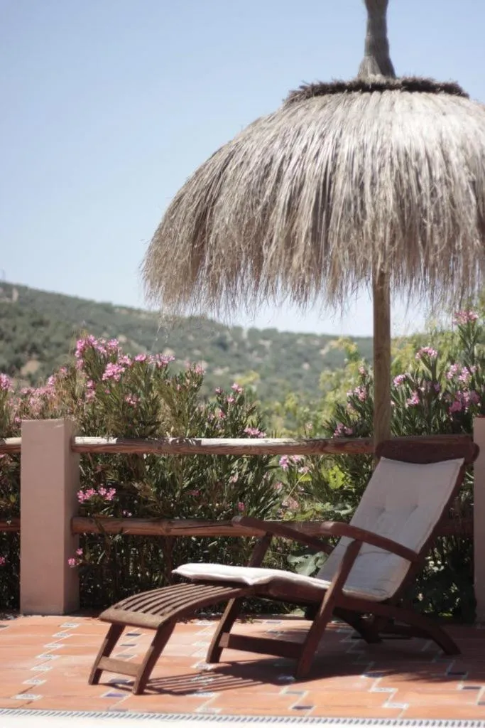 Mountain view in Casa Pura Vida