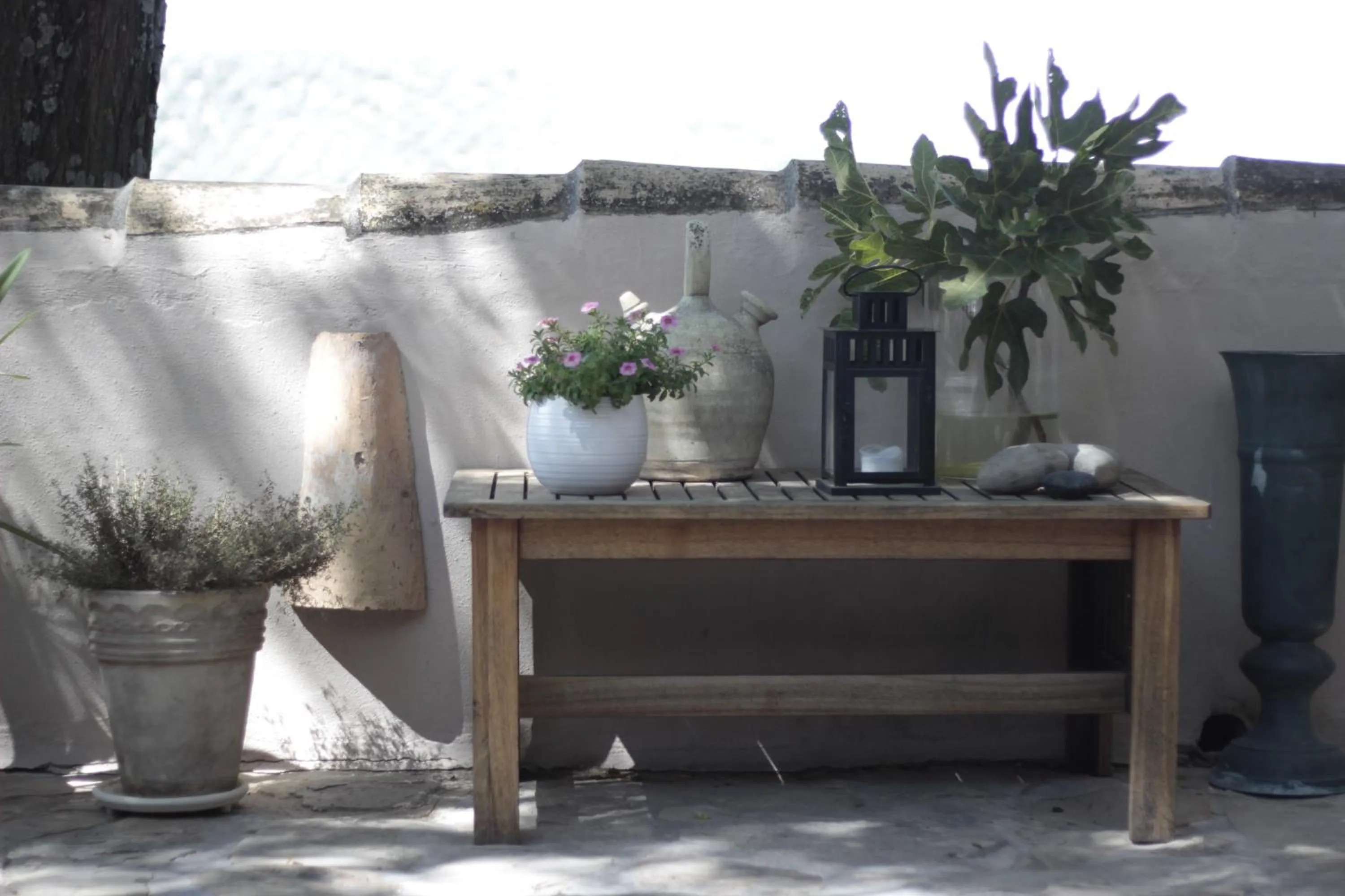 Patio in Casa Pura Vida