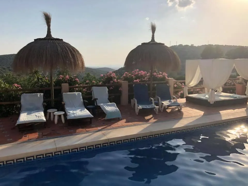 Swimming pool in Casa Pura Vida