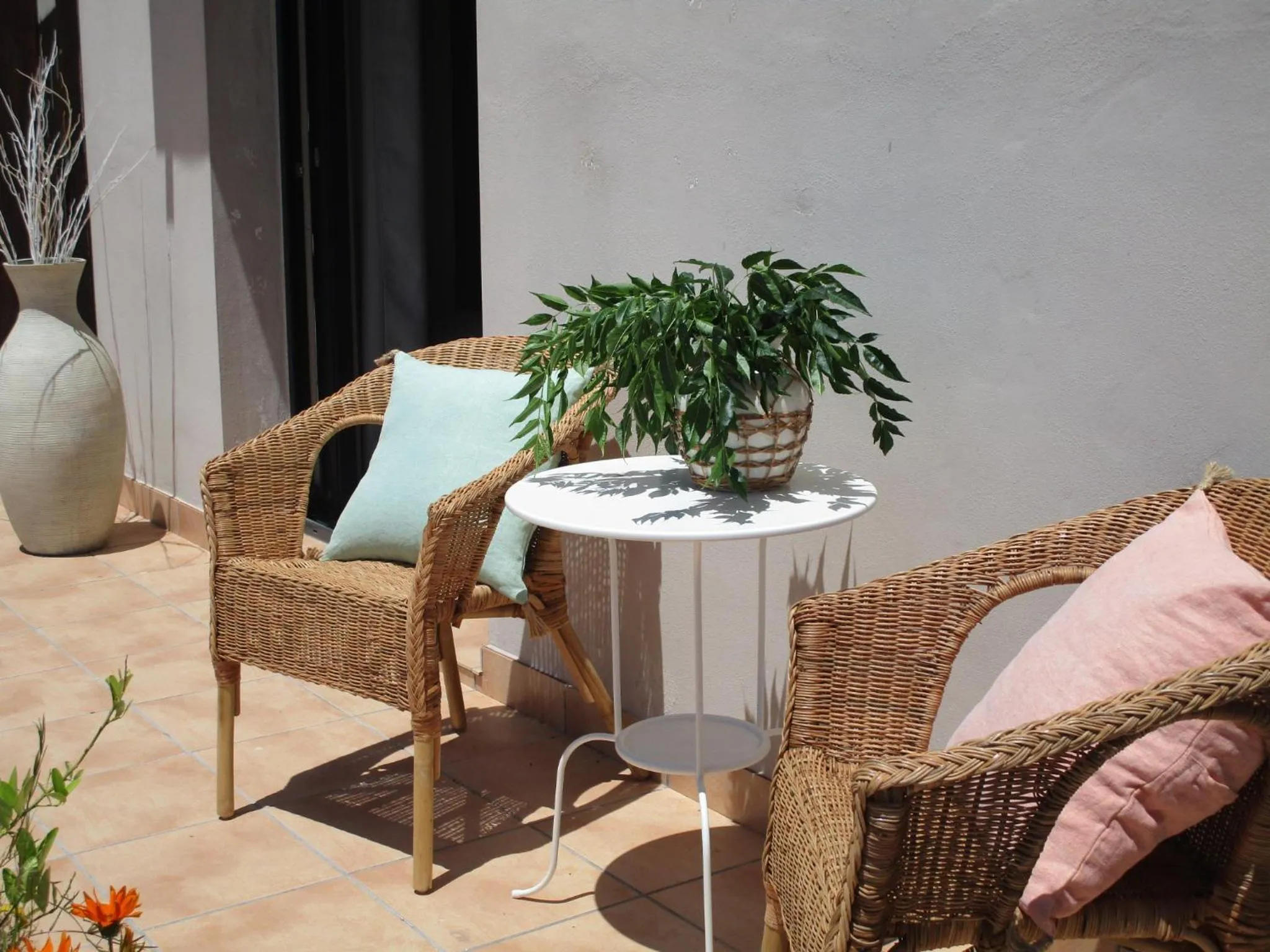 Patio in Casa Pura Vida