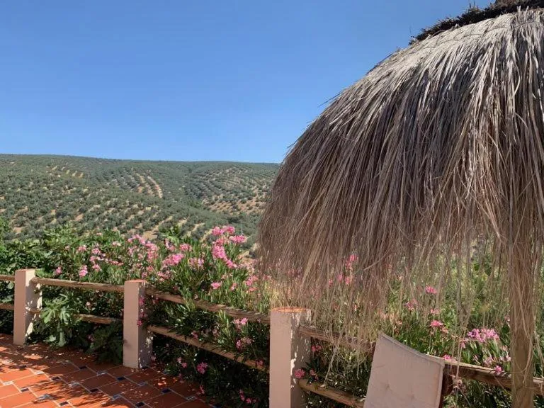 Pool view in Casa Pura Vida