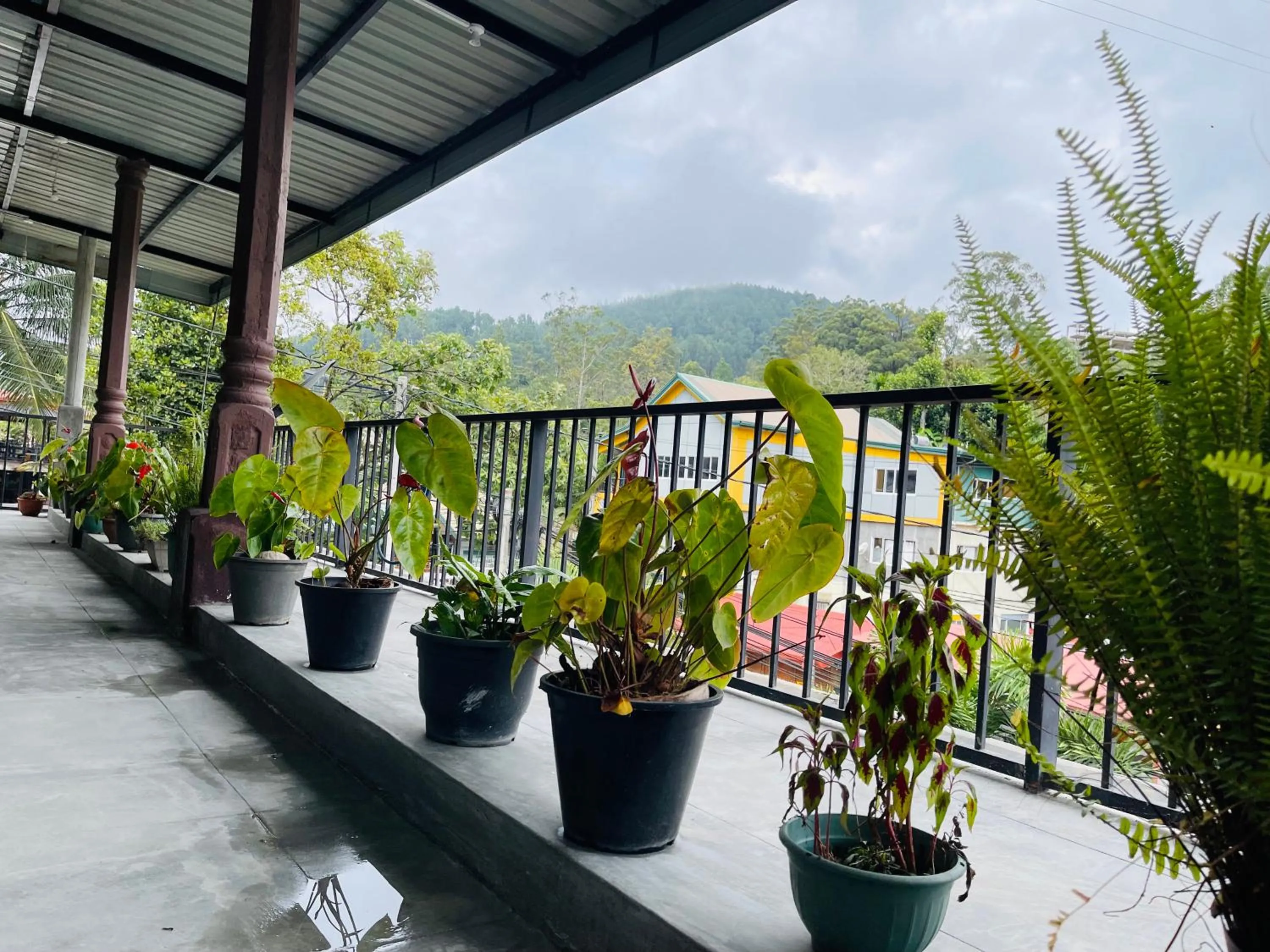 Jade Green Rest Inn