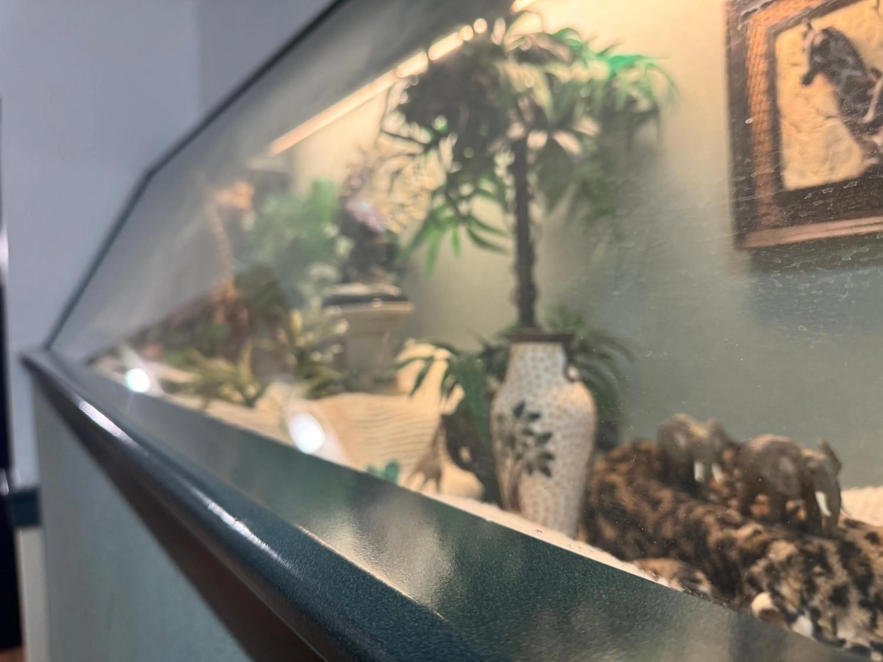 Decorative detail in Dakota Inn