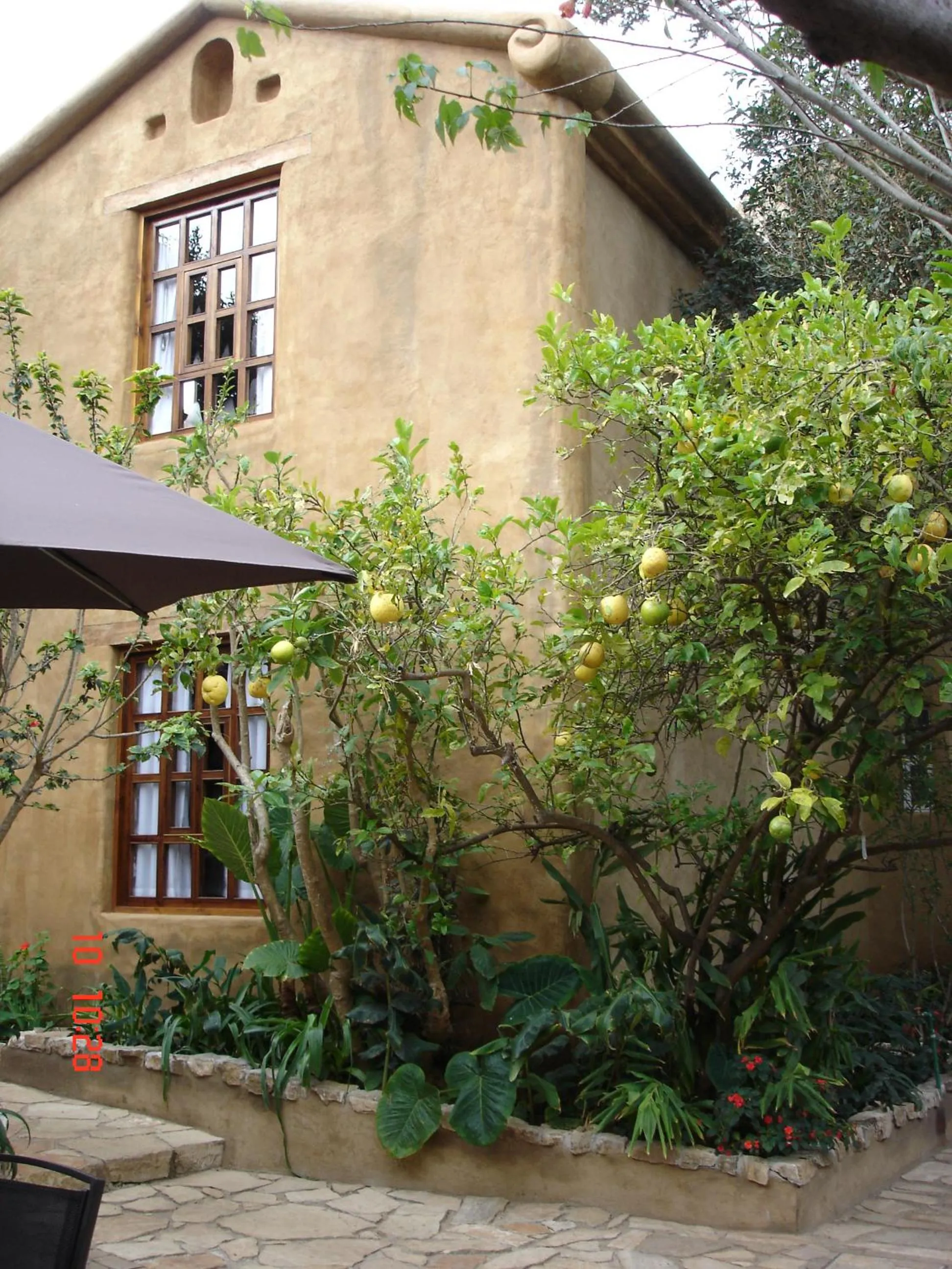 Property building in Guayaba Inn Boutique Hotel