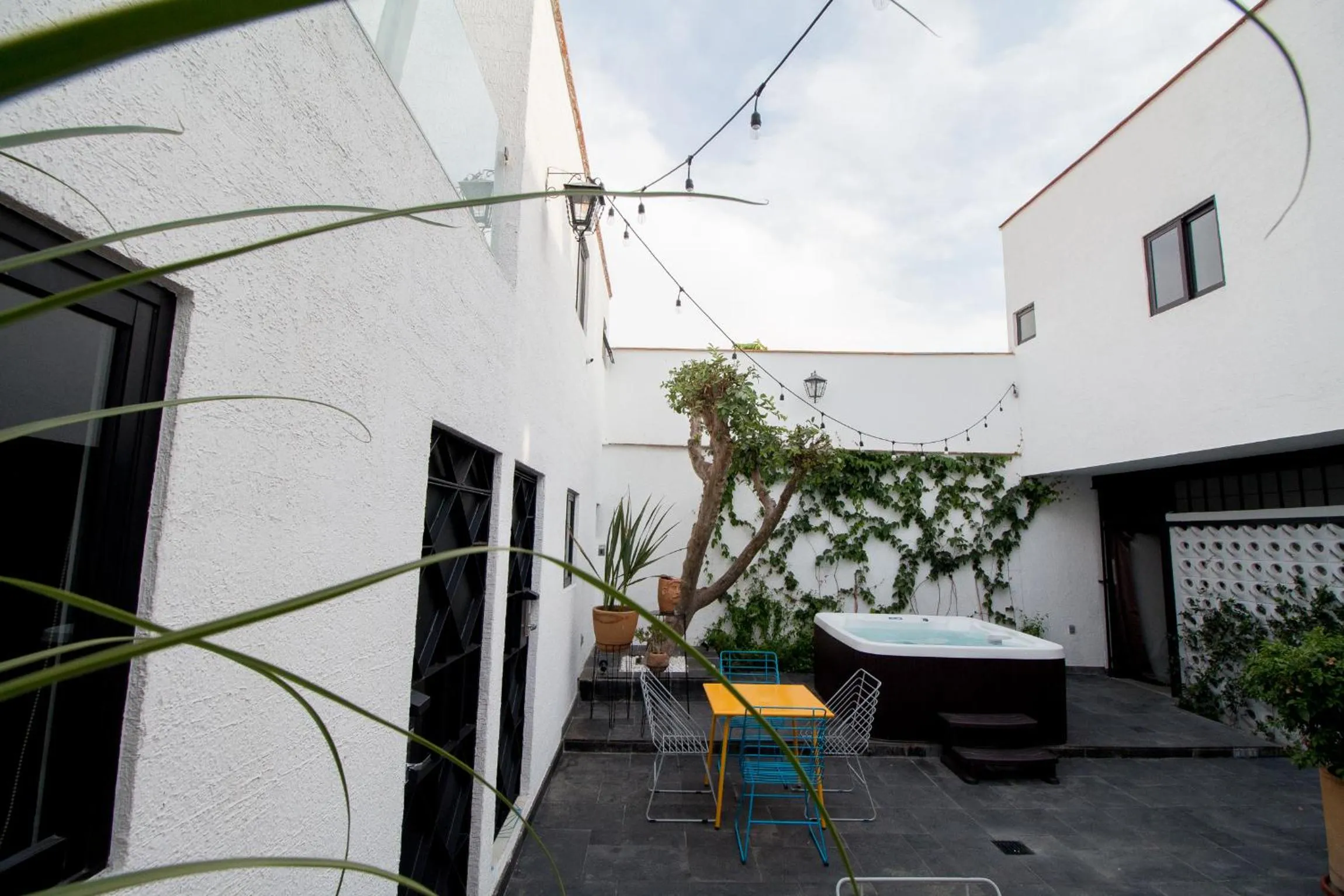Garden in Hotel Casona Independencia