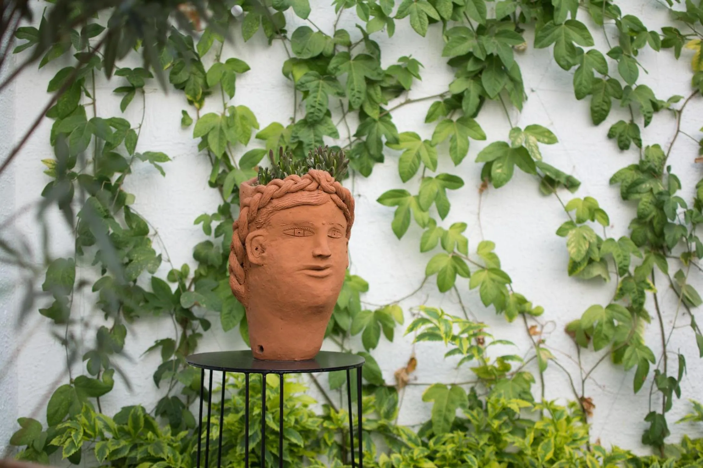 Patio in Hotel Casona Independencia