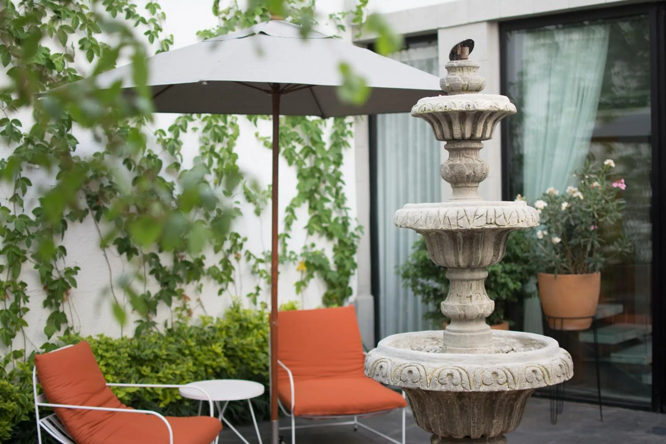 Patio in Hotel Casona Independencia
