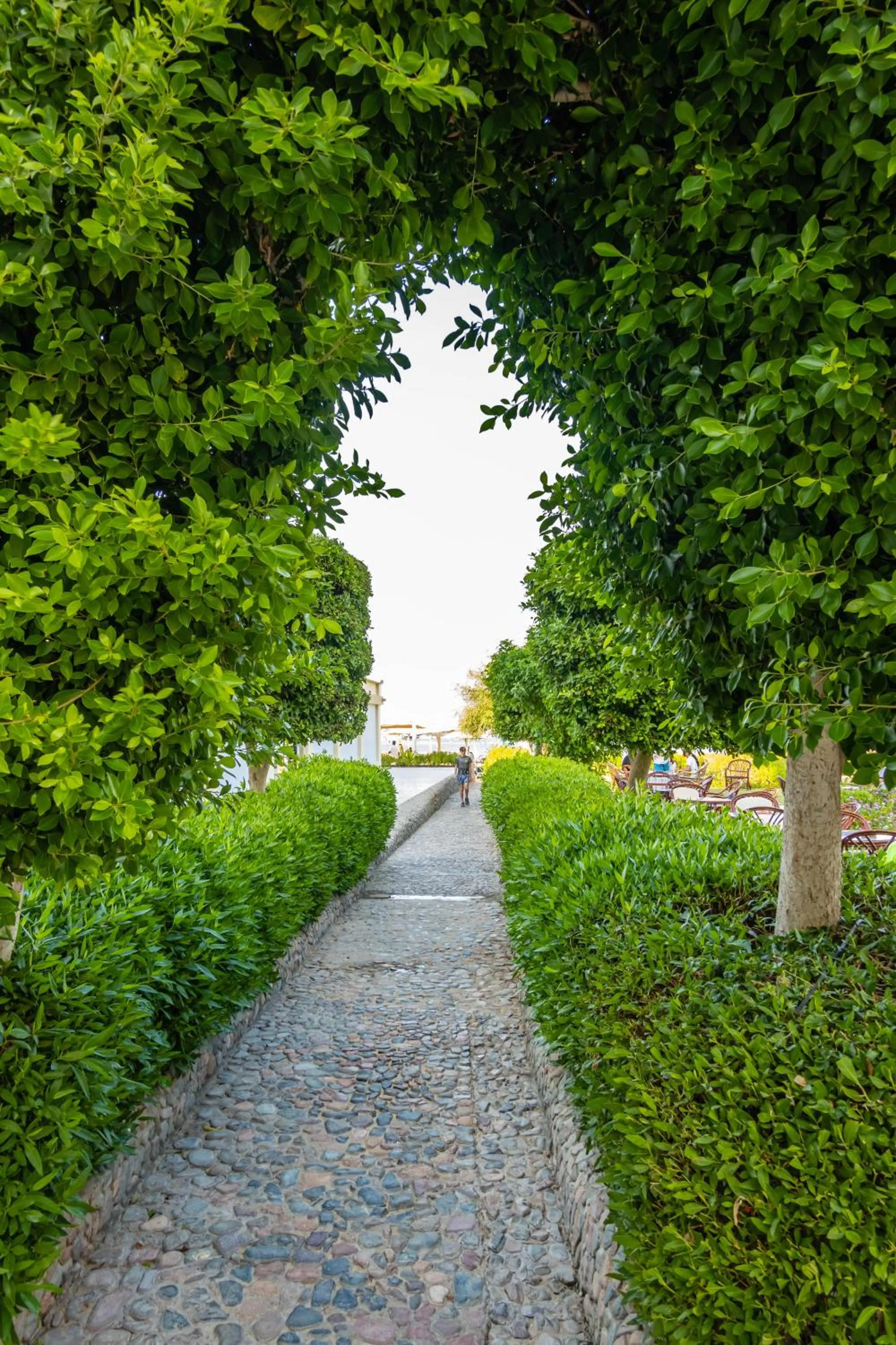 Garden in Magic Beach Hotel Hurghada