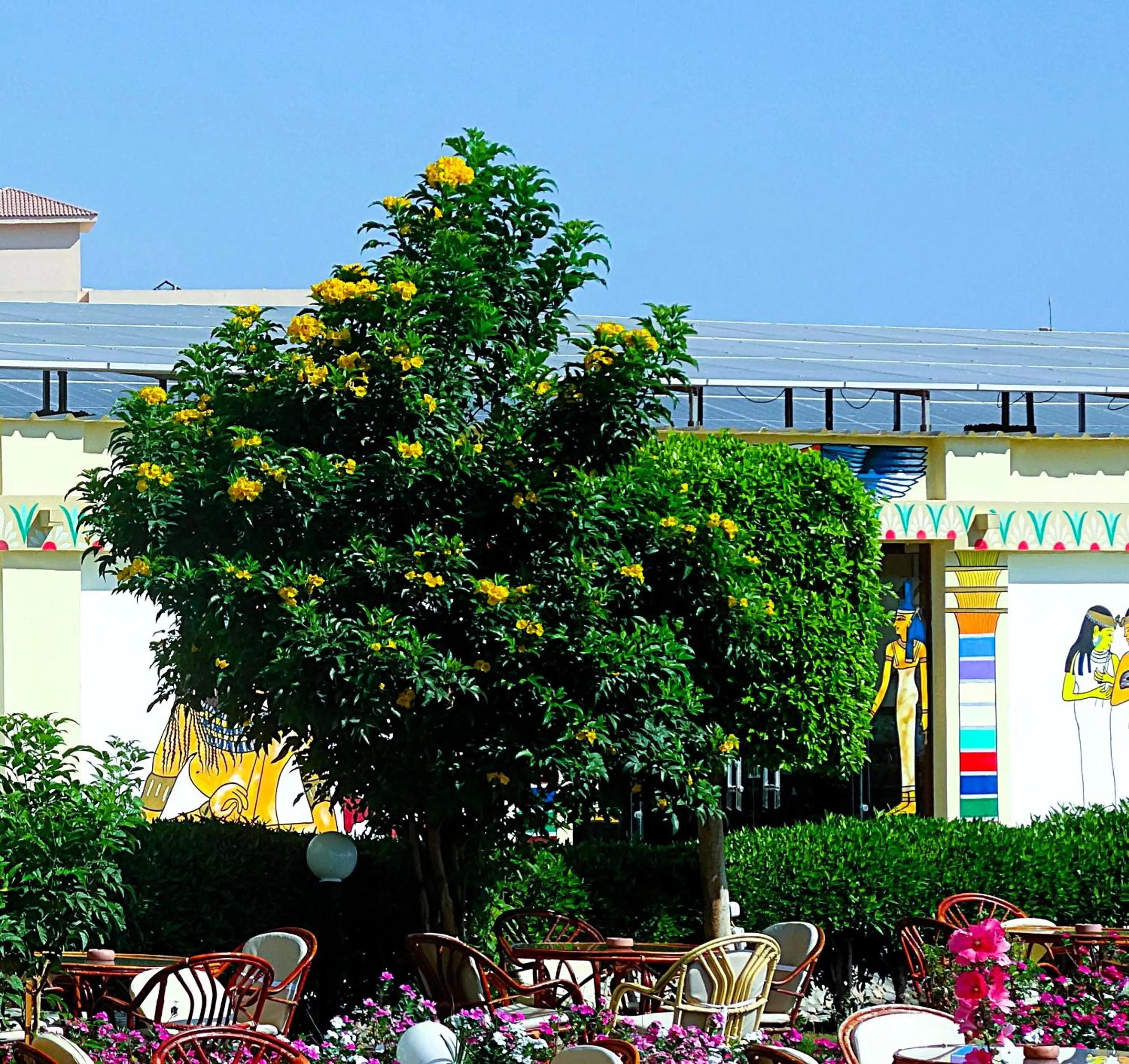 Garden in Magic Beach Hotel Hurghada