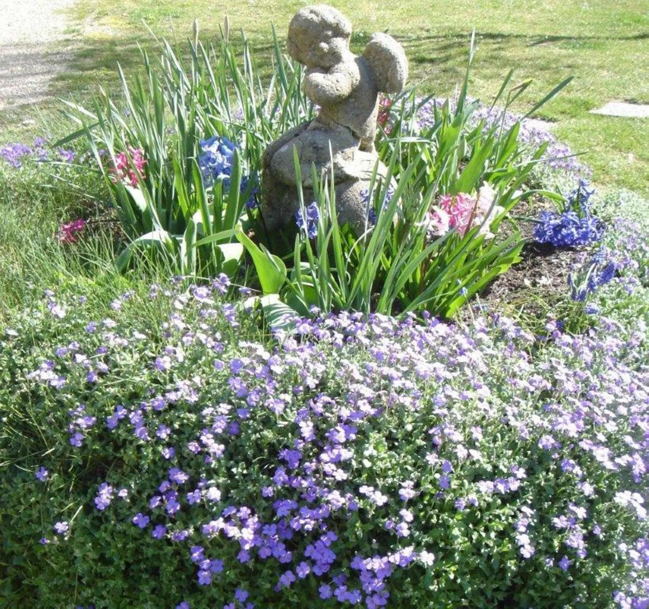 Garden in Manoir de la Foulquetiere
