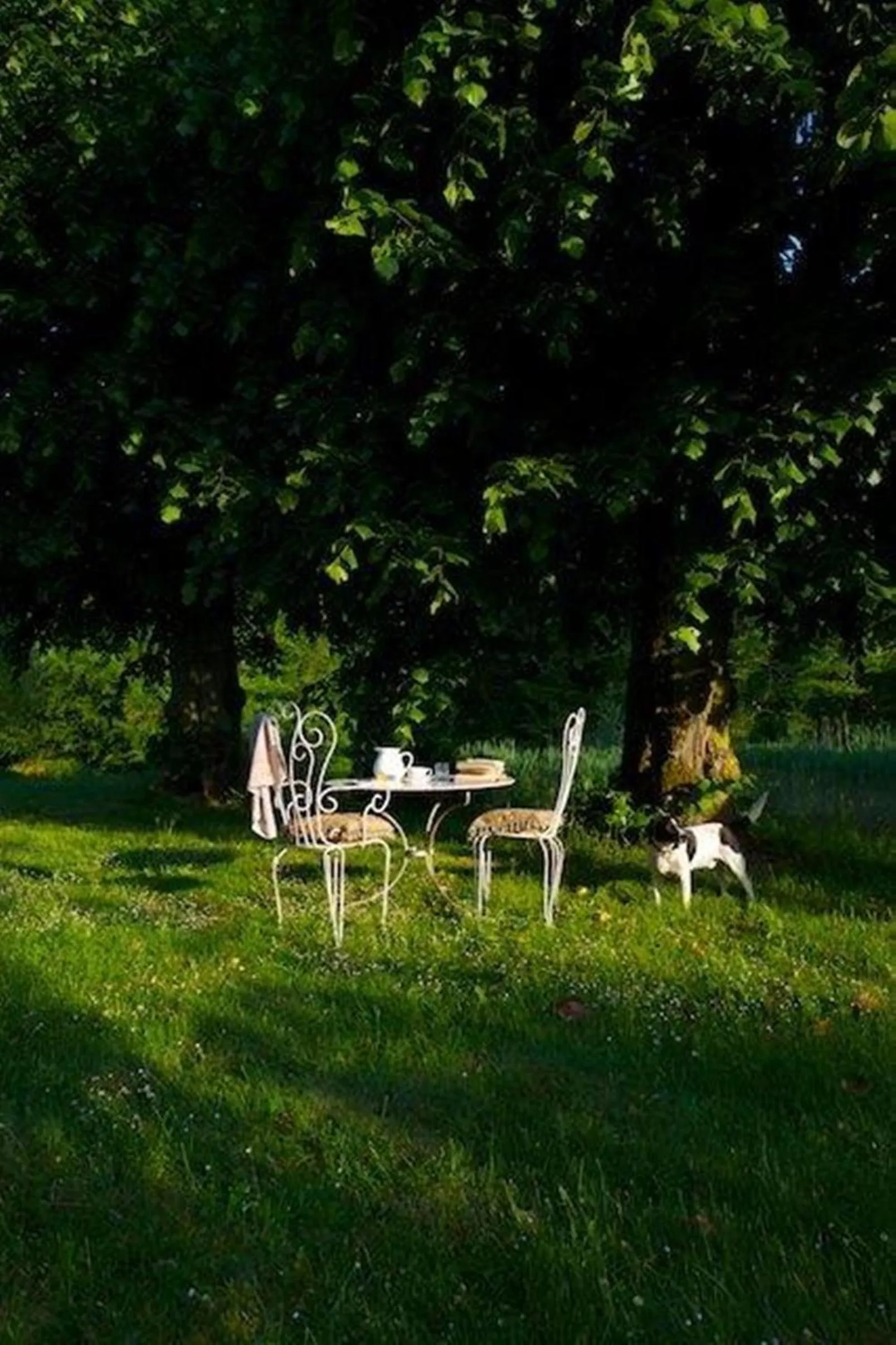 Garden in Manoir de la Foulquetiere