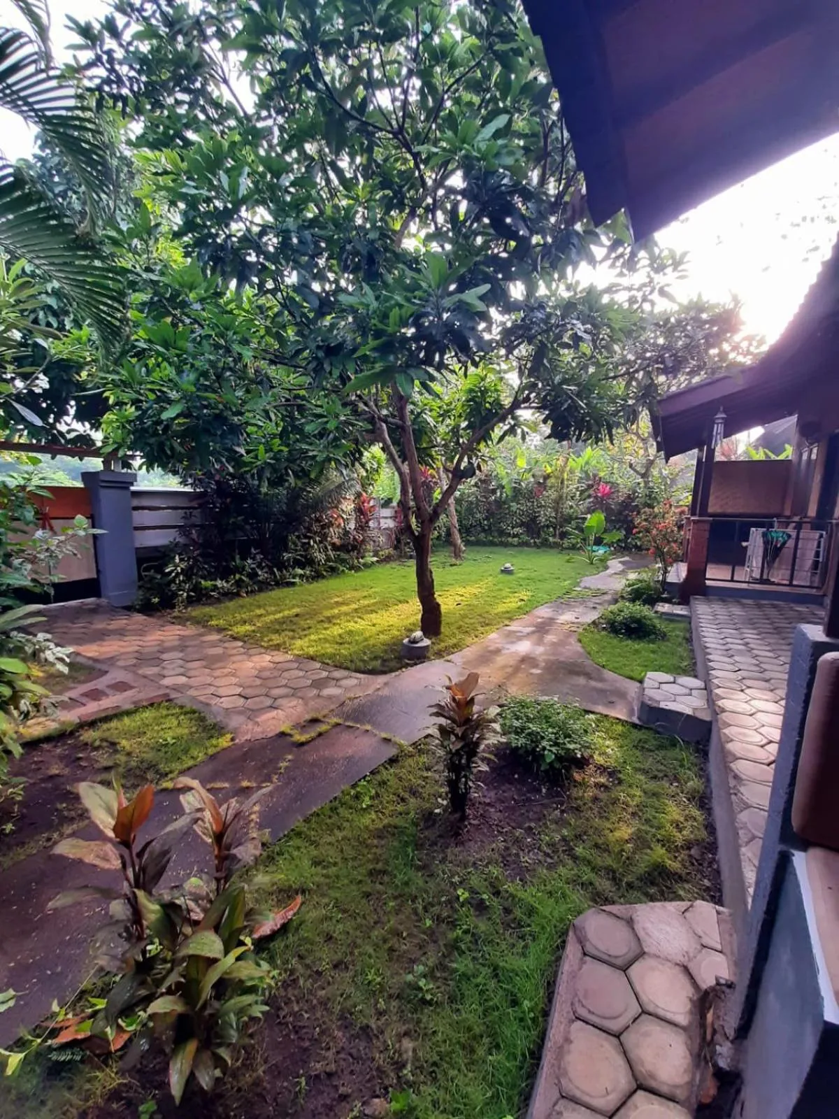 Garden view in Taman Menjangan homestay by SnorkelingMenjangan