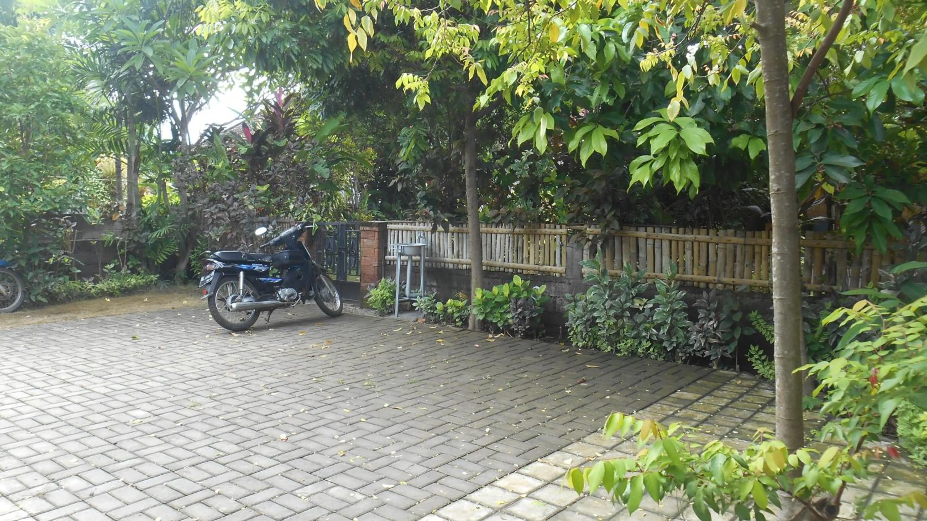 Garden in Taman Menjangan by SnorkelingMenjangan