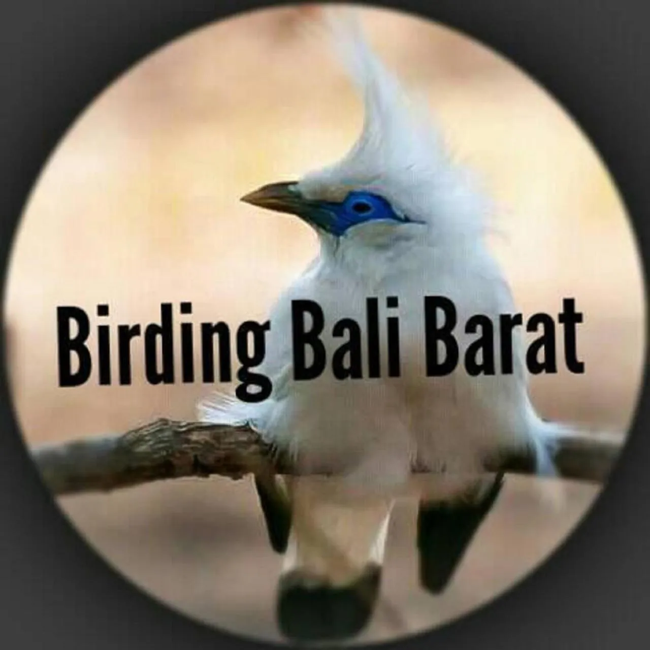 Hiking in Taman Menjangan by SnorkelingMenjangan