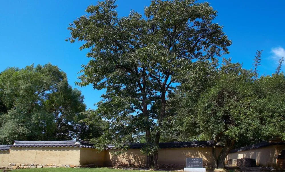 Natural landscape in Bukchondaek