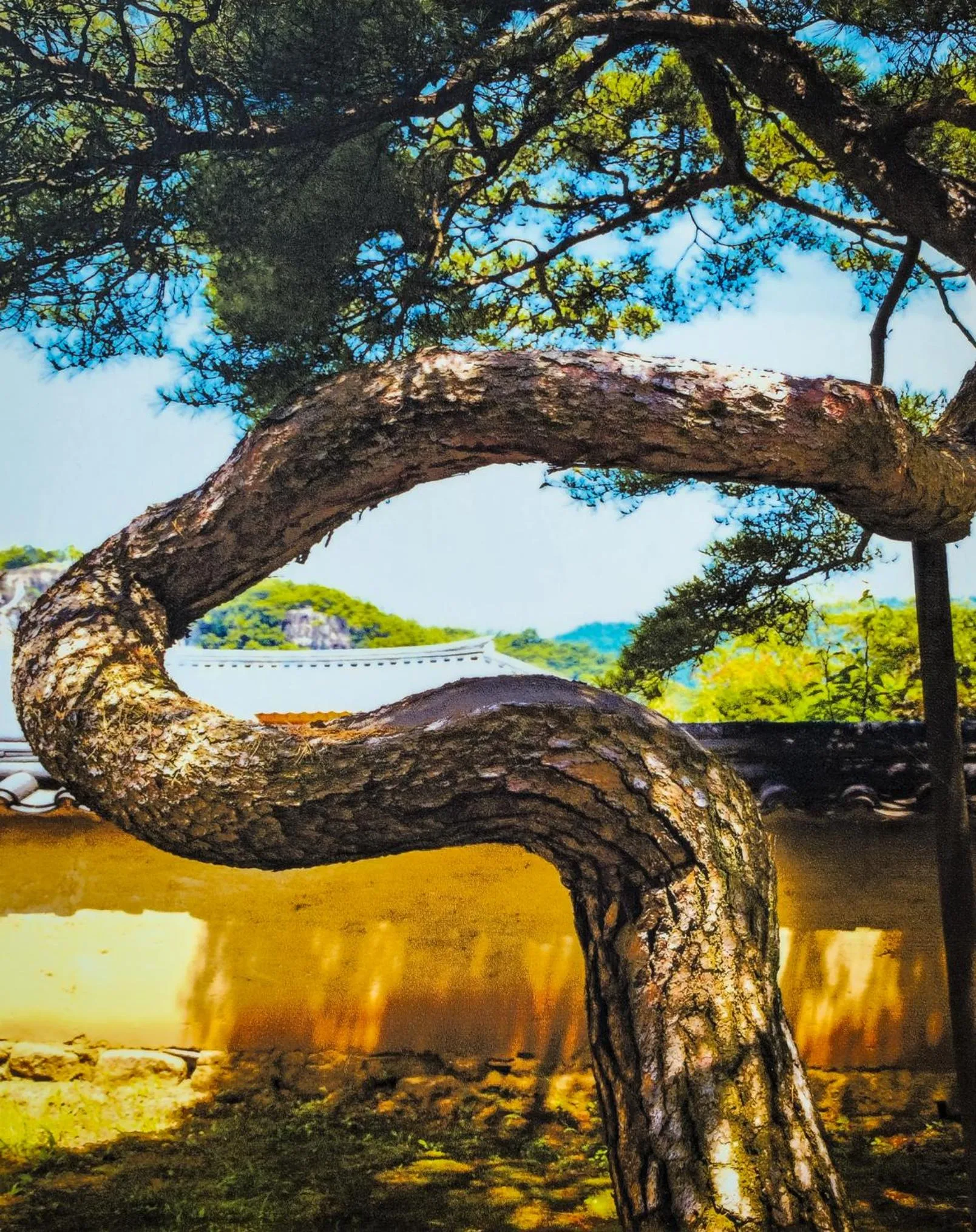 Natural landscape in Bukchondaek