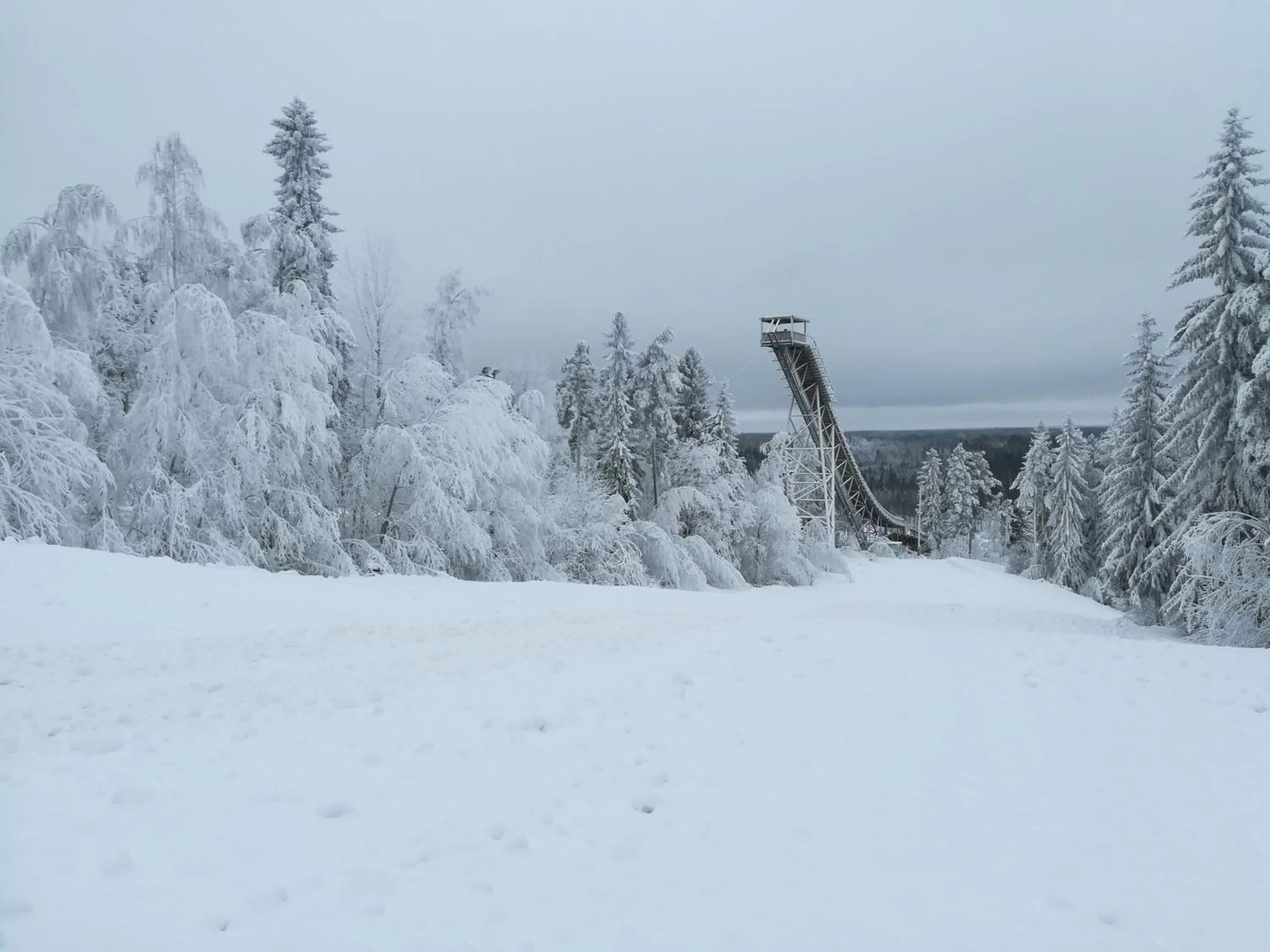 Natural landscape in Aparthotel Simpsiönkullas