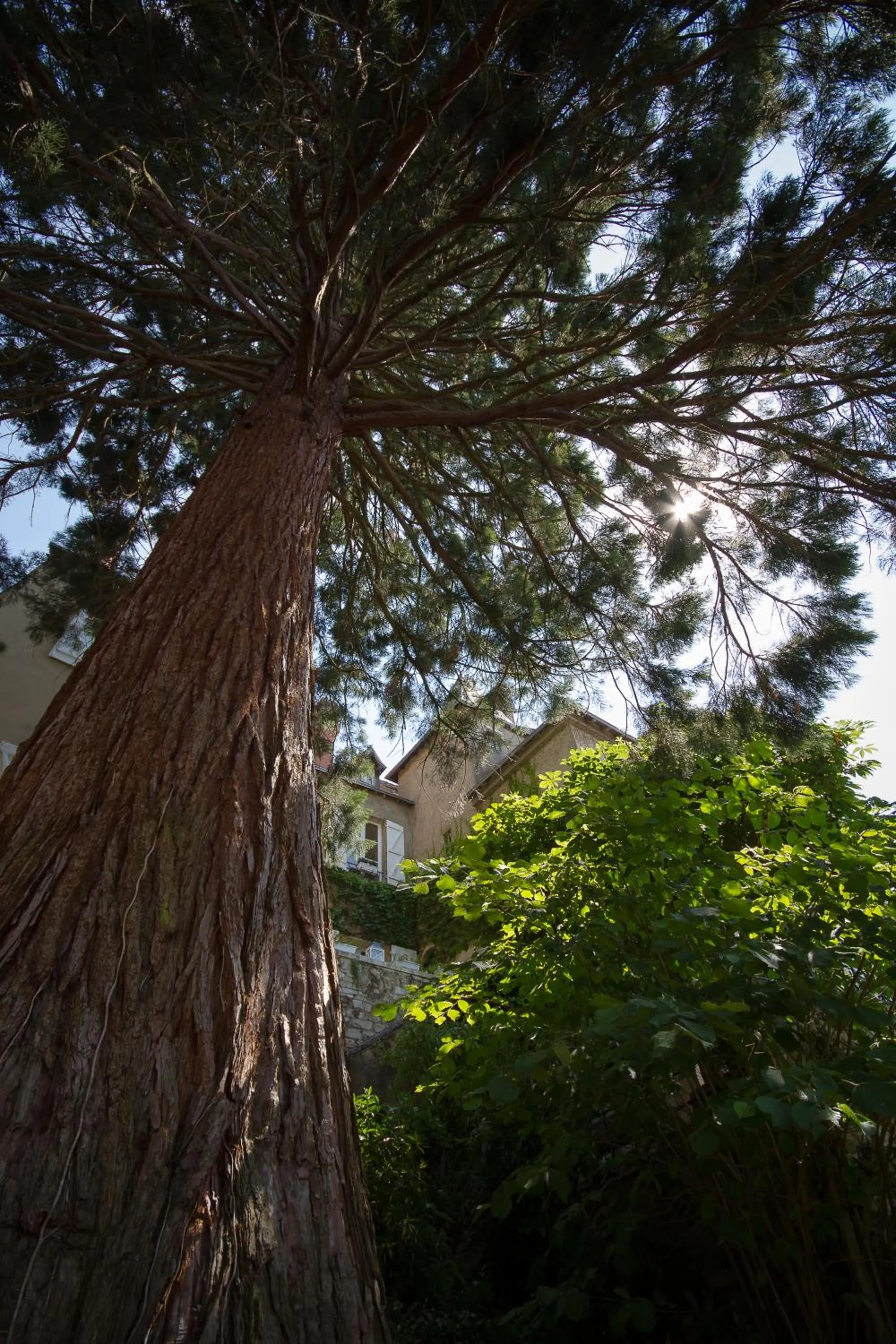 Garden view in Le Fassardy