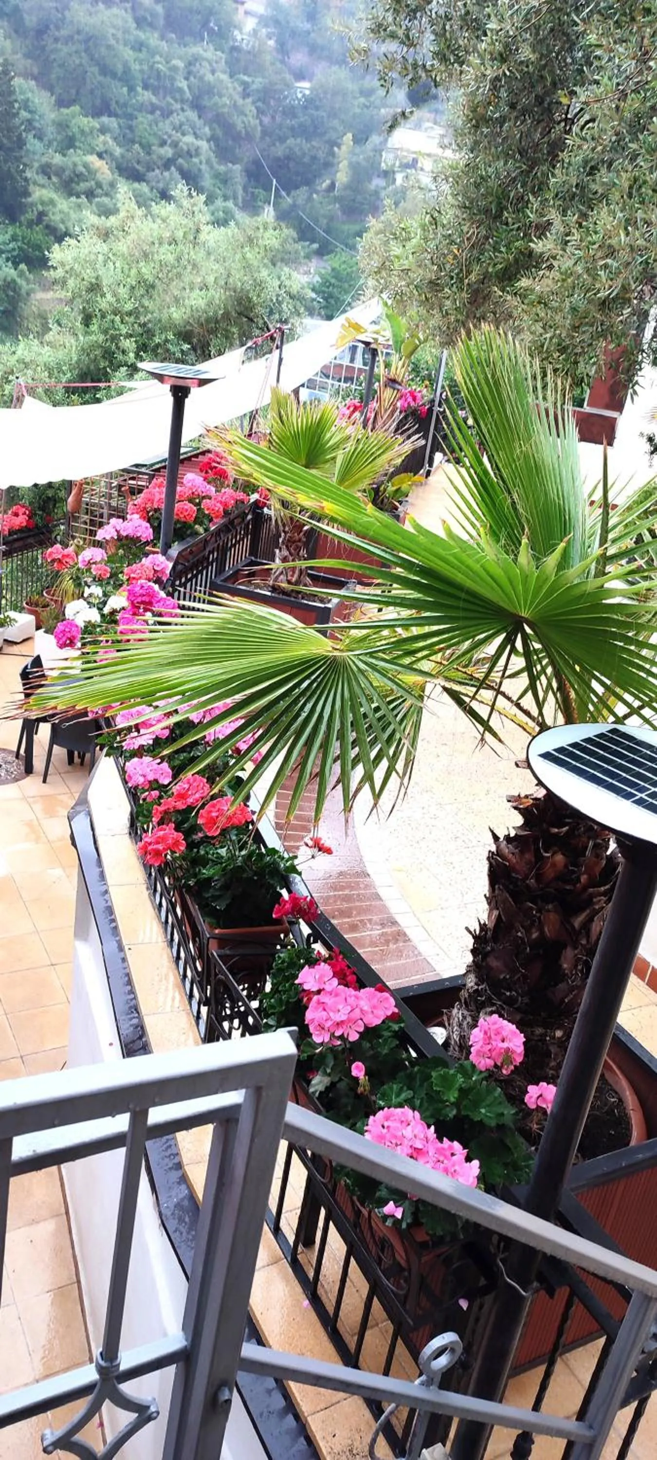 Garden in Villa Arianna B&B