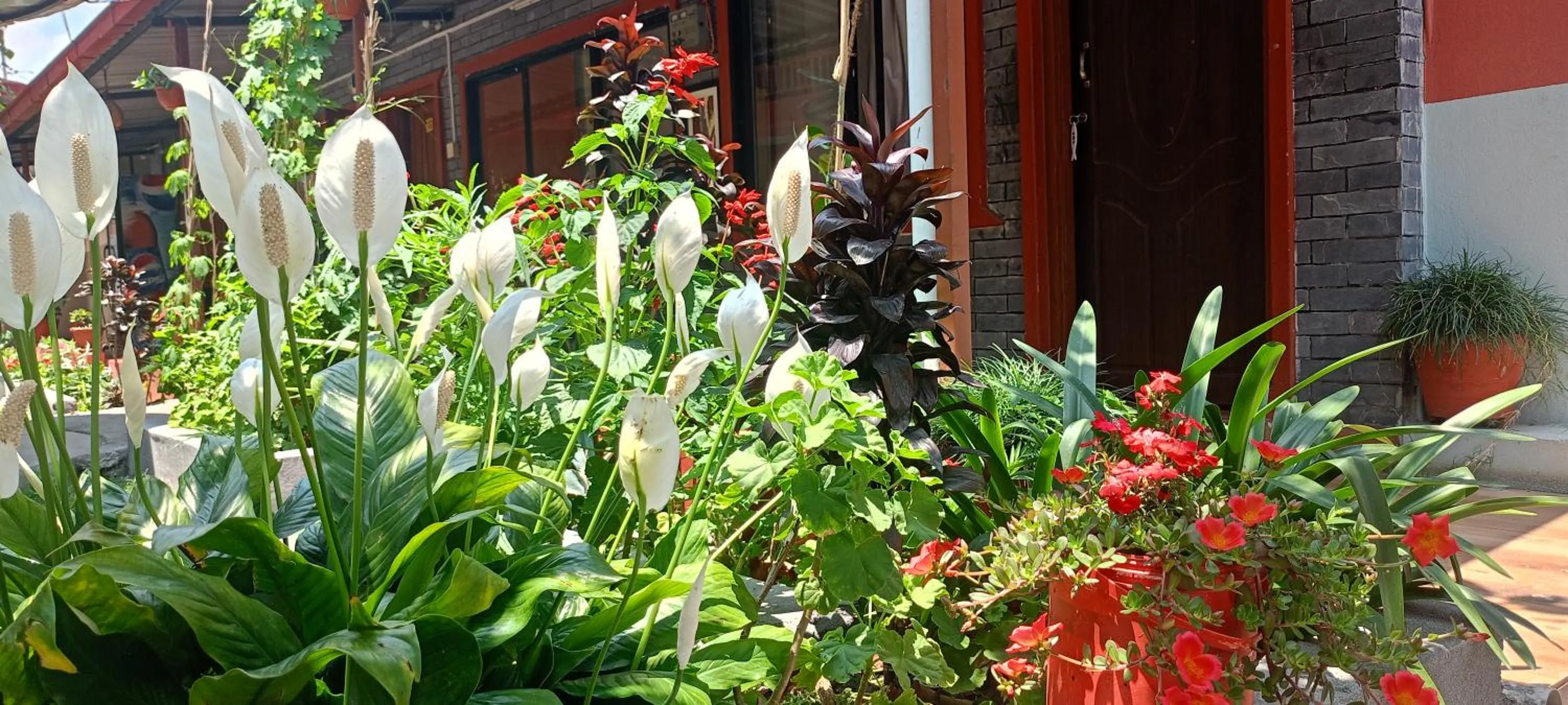 Garden in Pokhara Metro Eco Hotel